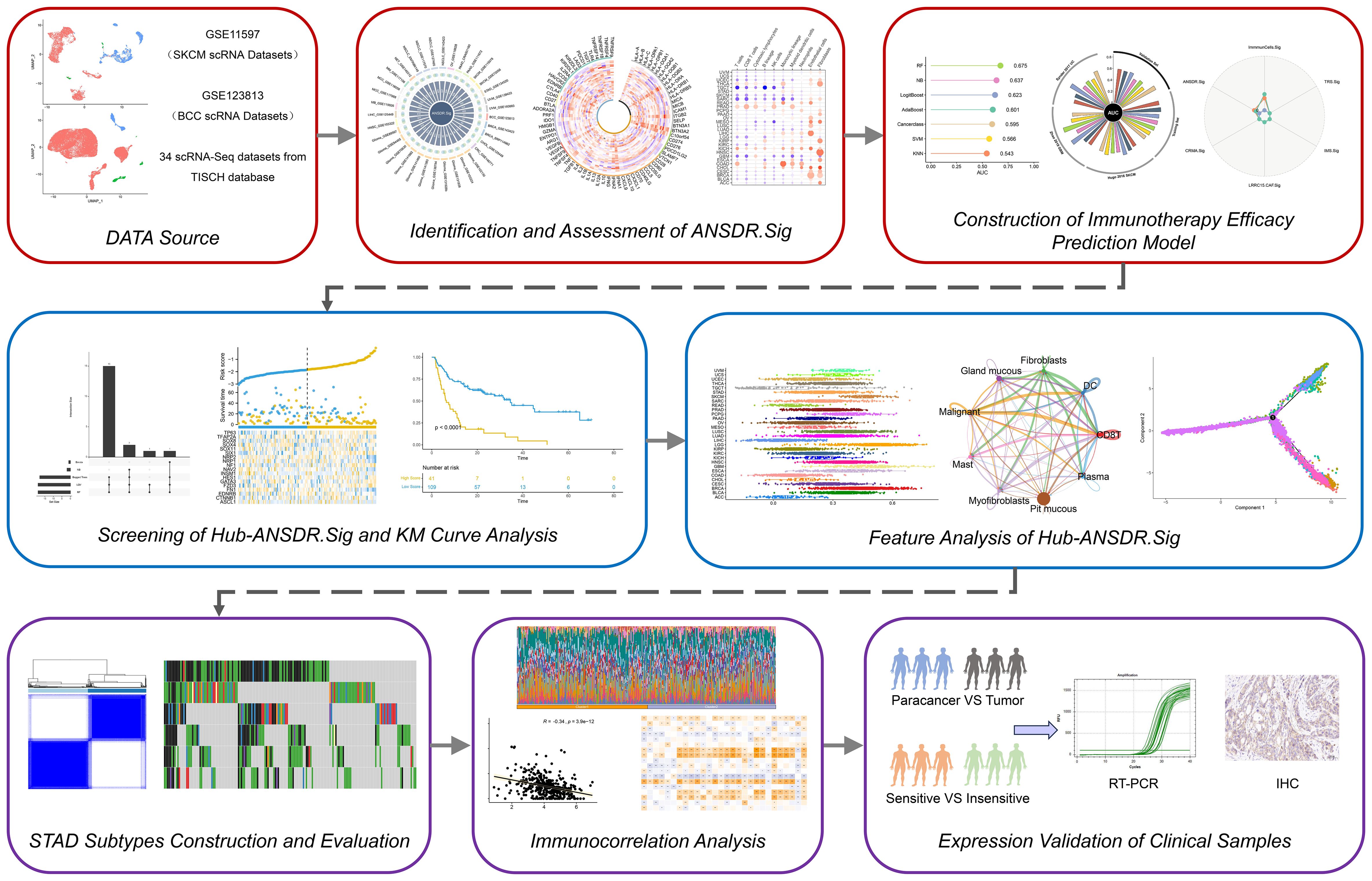 Flowchart illustrating a multi-stage analysis process of immunotherapy efficacy prediction. It starts with data sources from scRNA datasets, followed by the identification and assessment of ANSDR.Sig. Next, an immunotherapy efficacy prediction model is constructed, and hub-ANSDR.Sig is screened and analyzed via KM curves. Feature analysis leads to the construction and evaluation of STAD subtypes. The process includes immunocorrelation analysis and concludes with expression validation of clinical samples, including comparisons between paracancer and tumor, sensitive versus insensitive groups, using RT-PCR and IHC methods.