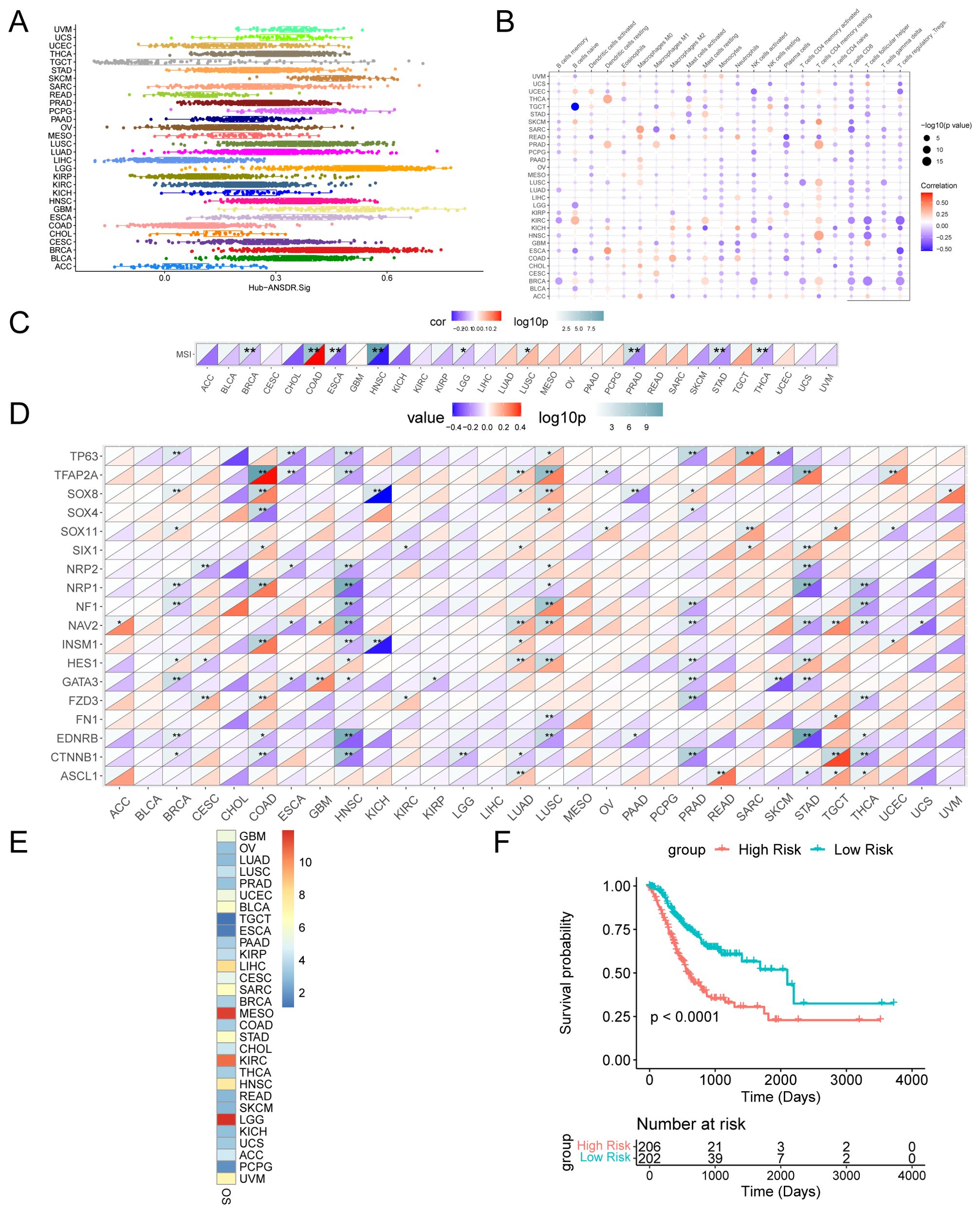 A multi-panel figure consisting of various charts and plots: A. A scatter plot showing Hub-ANSDR.Sig values across different cancer types. B. A correlation dot plot indicating expression levels of various genes across several cancer types. C. A heatmap representing MSI (microsatellite instability) status correlations with statistical significance. D. A heatmap showcasing expression values of specific genes across various cancers. E. A heatmap with a numerical scale indicating expression levels across different cancers. F. A Kaplan-Meier survival plot comparing high-risk and low-risk groups with statistical significance noted. Each panel provides analytical insights about gene expression and survival across cancer types.