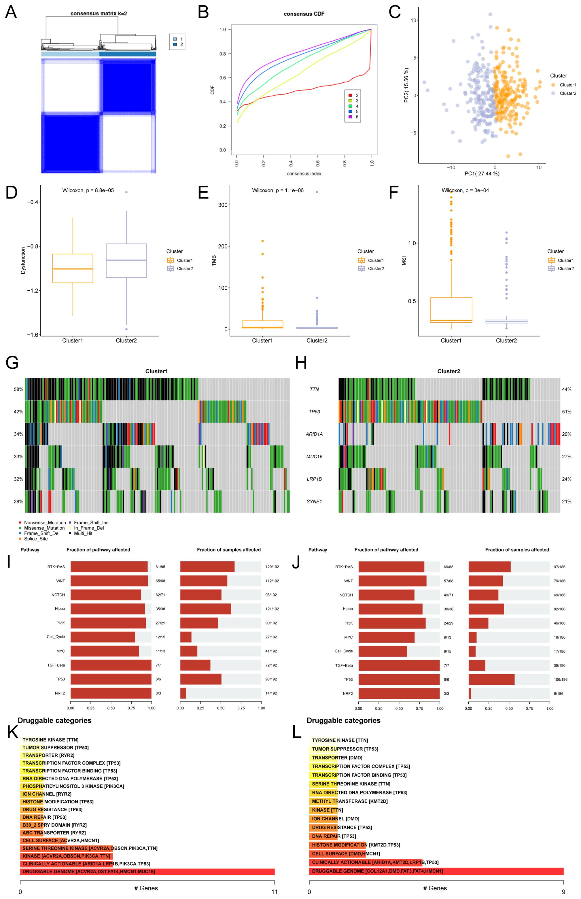 Composite image illustrating genomic data analysis. A: Heatmap showing consensus matrix for k=2 clusters. B: Consensus cumulative distribution function plot for clusters ranging from 2 to 6. C: PCA scatter plot differentiating two clusters in orange and blue. D-F: Box plots comparing clusters on dysregulation, tumor mutational burden (TMB), and microsatellite instability (MSI). G-H: Oncoprints showing mutation types and frequencies in specific genes for each cluster. I-J: Bar charts depicting the fraction of affected pathways and sample percentages. K-L: Tables listing druggable categories and number of genes per category.