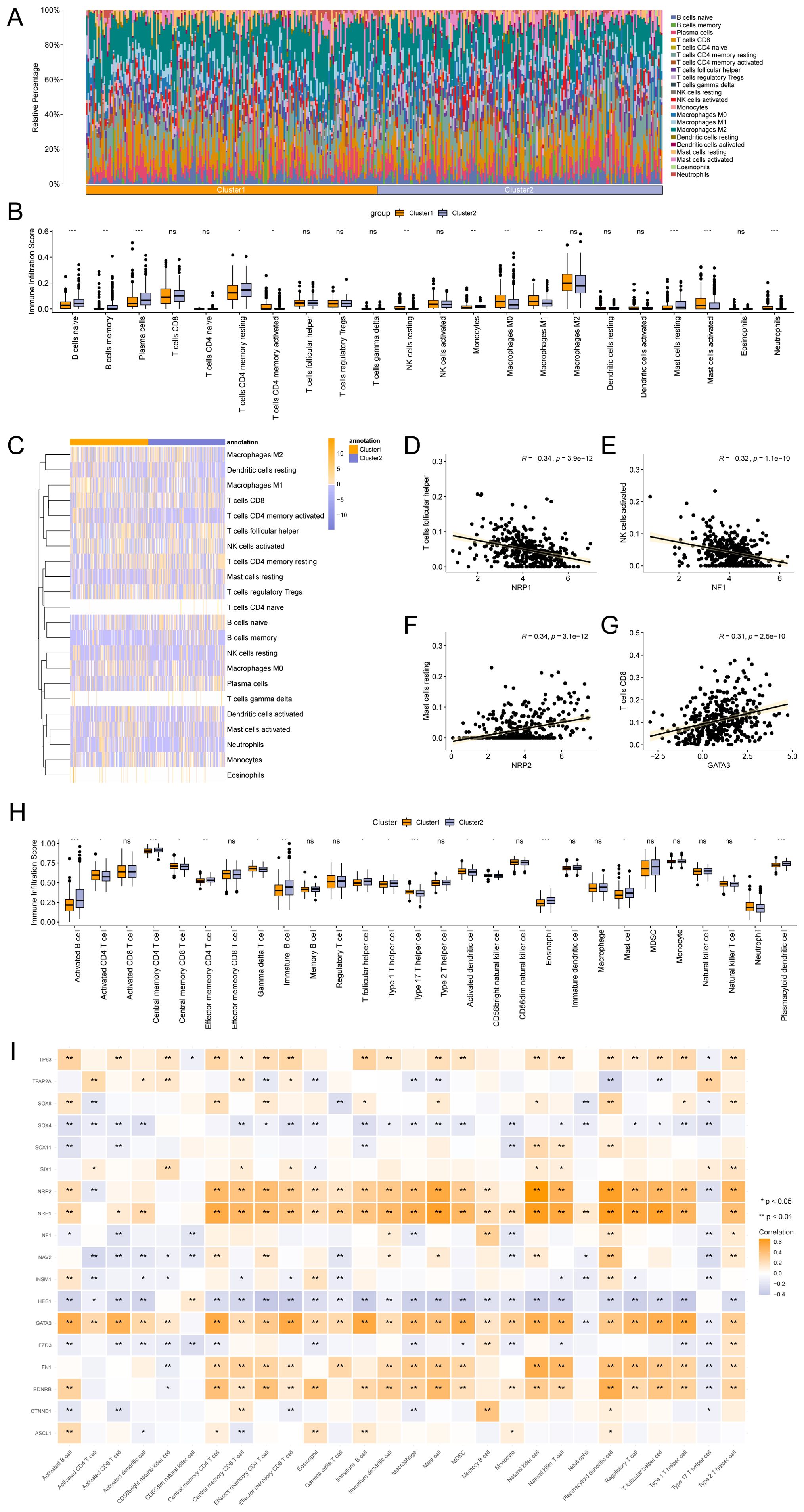 Various graphs and charts analyze immune cell infiltration and gene expression across two clusters. A) Stacked bar plot showing relative cell type percentages. B and H) Boxplots displaying immune infiltration scores. C) Heatmap illustrating cell type annotations by cluster. D to G) Scatter plots highlighting gene expression correlations with T cell and NK cell activity. I) Correlation matrix with significance indicated by asterisks. Data explores relationships in immune responses for two defined groups identified as Cluster1 and Cluster2.