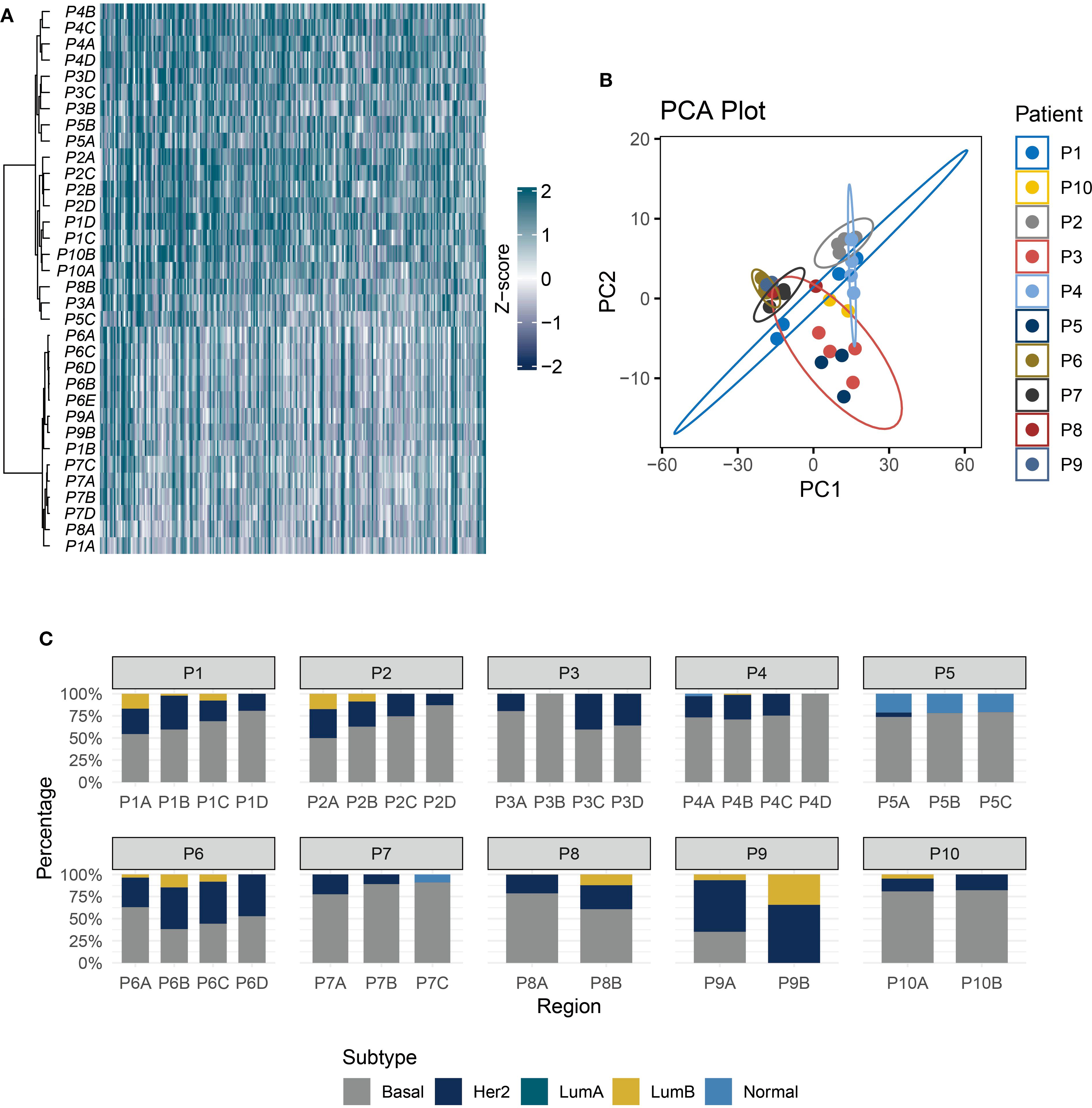Panel A shows a clustered heatmap with samples labeled P1A to P9B and a Z-score color gradient. Panel B is a PCA plot with samples color-coded by patient groups P1 to P10, showing clustering patterns in a PC1 versus PC2 plot. Panel C contains bar charts for each patient group (P1 to P10) indicating the percentage breakdown of subtypes: Basal, Her2, LumA, LumB, and Normal.
