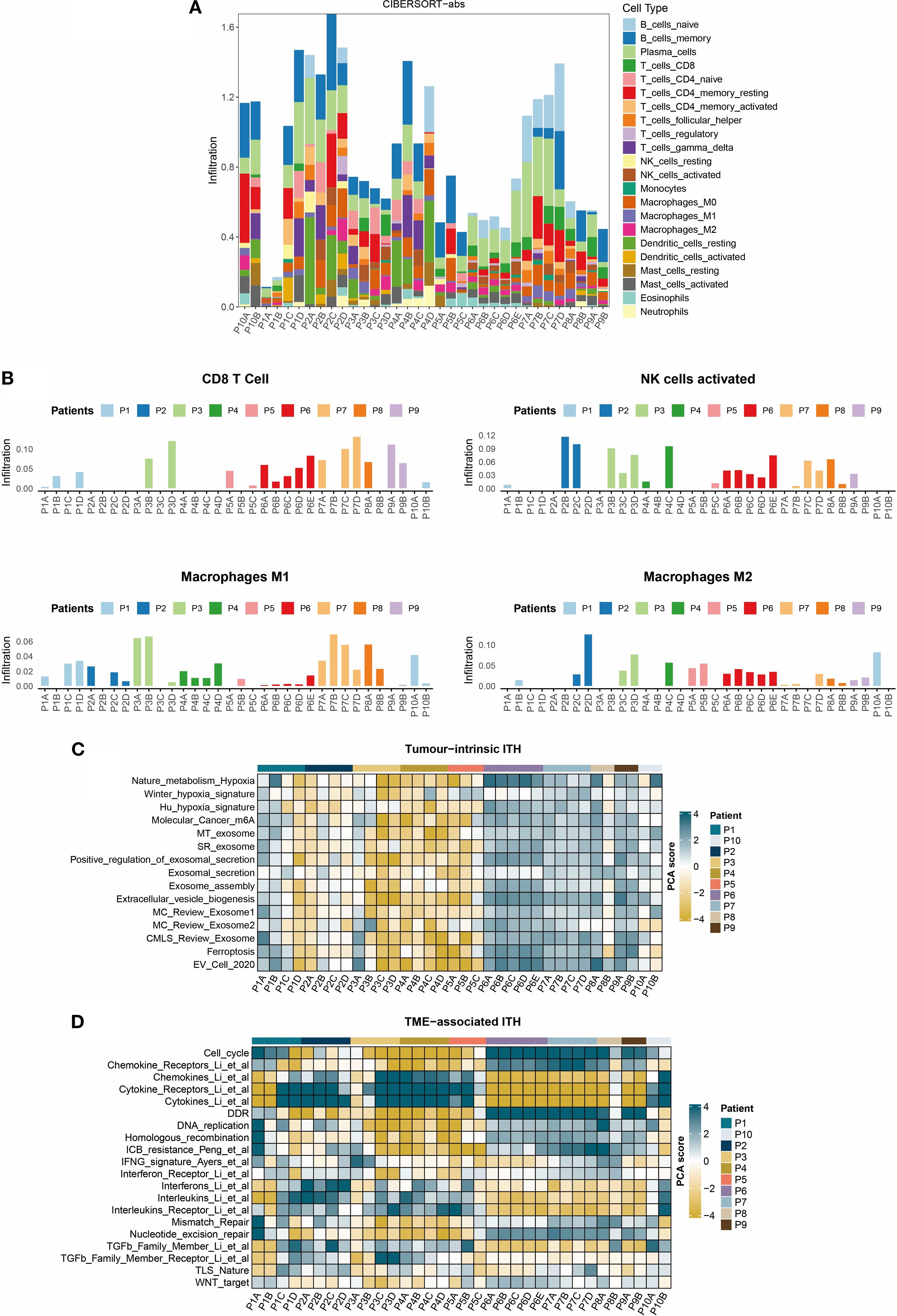 Bar charts and heatmaps depict immune cell infiltration and tumor heterogeneity across patients. Chart A shows cell type infiltration using CIBERSORT-abs. Chart B displays infiltration of CD8 T cells, NK cells, and macrophages (M1 and M2) across patients P1-P9. Heatmap C illustrates tumor-intrinsic heterogeneity, and heatmap D shows TME-associated heterogeneity, both using PCA scores. Color coding represents various patients.