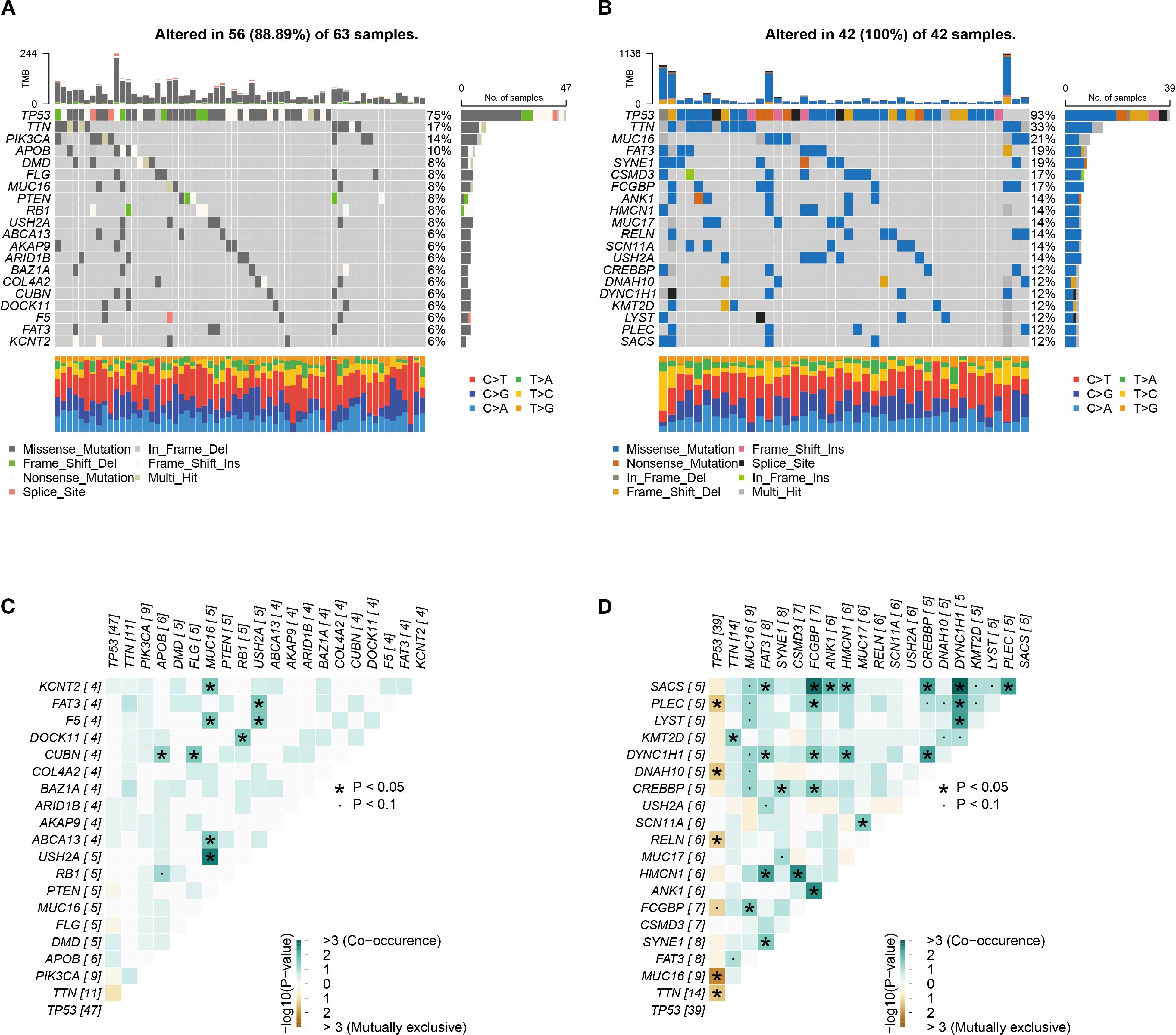 Graphs A and B show mutation frequency in samples, with a color key indicating mutation types such as missense mutations and splice sites. Subplots C and D display heatmaps of gene co-occurrence or mutual exclusivity. Asterisks indicate statistical significance at different p-values.