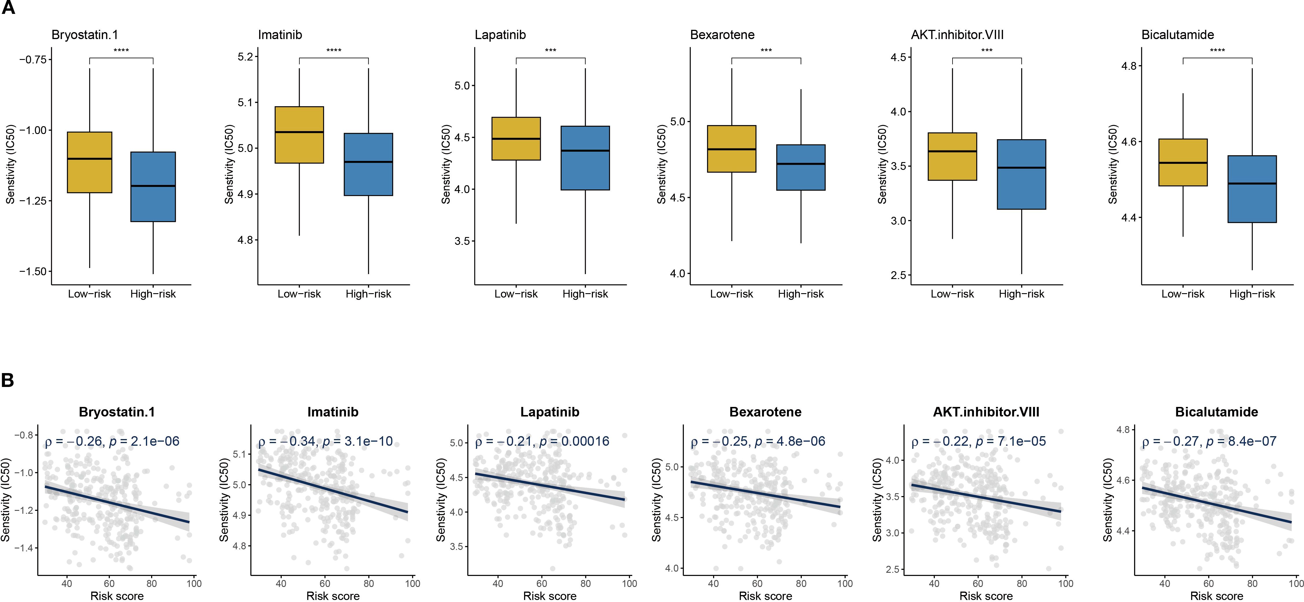 Panel A shows box plots depicting sensitivity (IC50) for six drugs across low-risk and high-risk groups, with significant differences marked by asterisks. Panel B displays scatter plots with regression lines, illustrating negative correlations between risk scores and drug sensitivity for the same six drugs, along with statistical significance values (\( \rho \) and \( p \) values).