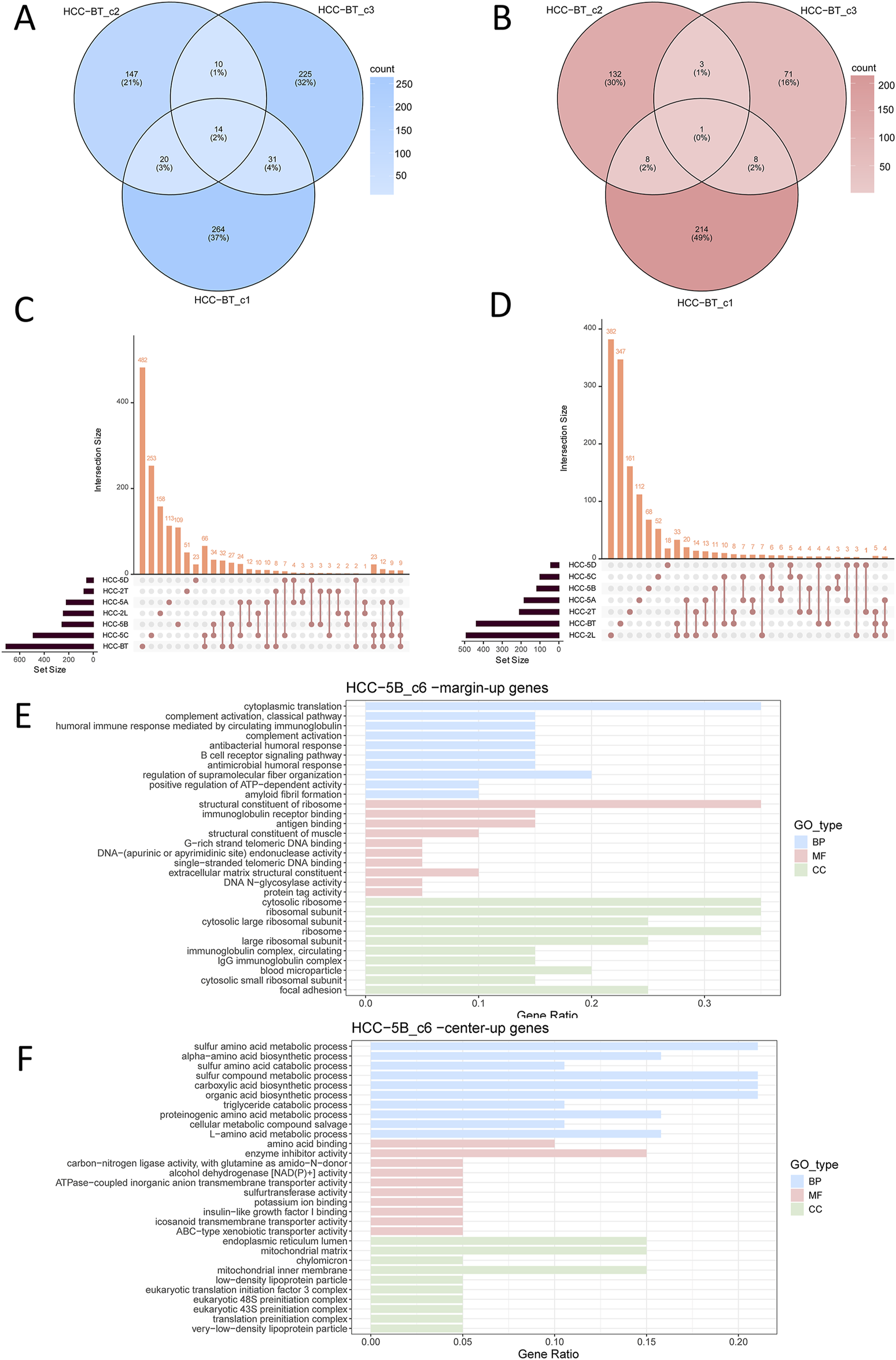 Panel A shows a blue Venn diagram comparing HCC-BT_c1, HCC-BT_c2, and HCC-BT_c3 with overlapping regions indicating shared counts. Panel B displays a similar red Venn diagram for different counts. Panels C and D feature bar graphs illustrating intersection sizes and set sizes among different HCC groups with various combinations. Panel E presents a heatmap of HCC-5B_c6 margin-up genes with gene ratios labeled by biological processes (BP), molecular functions (MF), and cellular components (CC). Panel F shows a similar heatmap for HCC-5B_c6 center-up genes, categorized similarly.