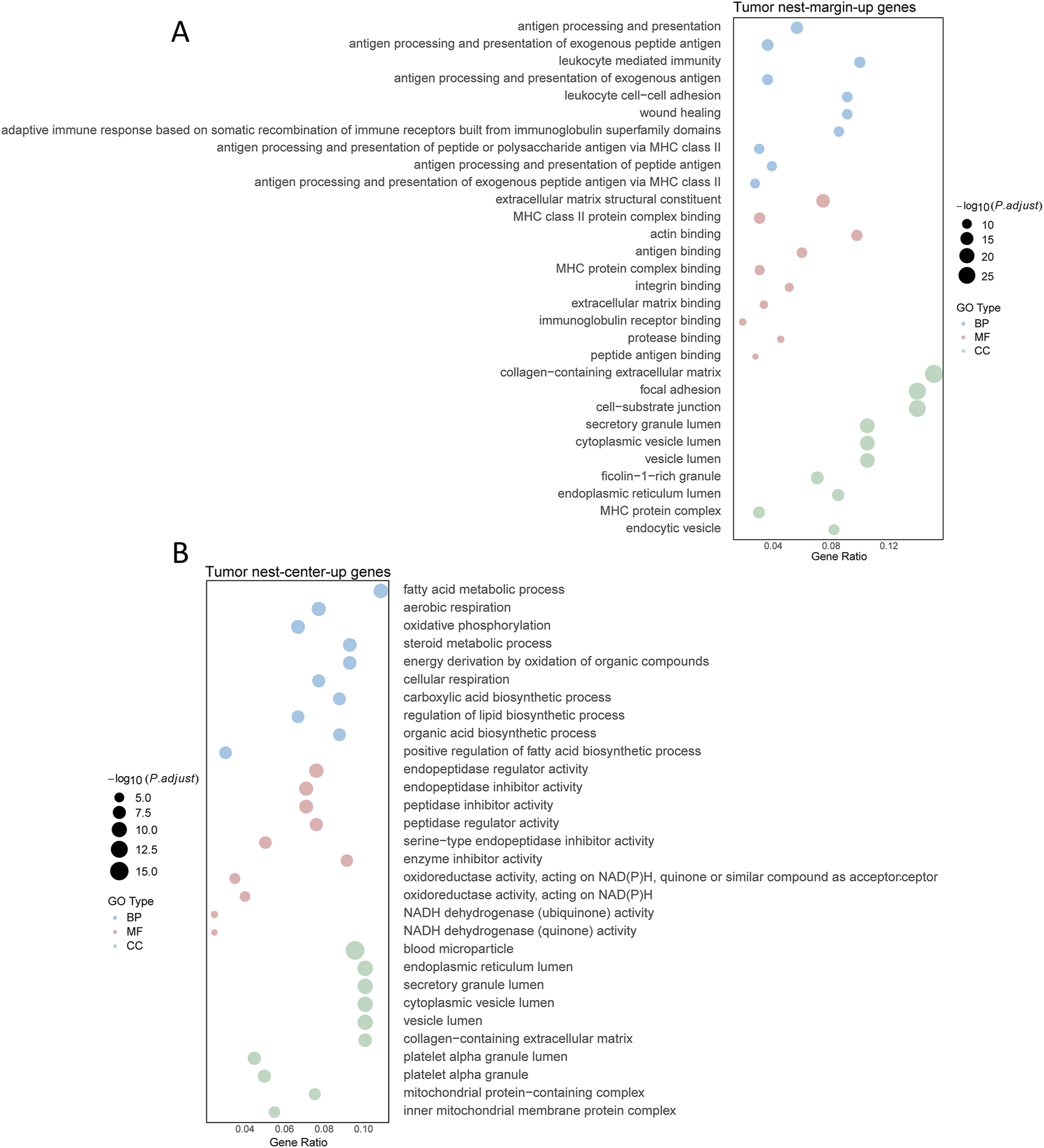 Scatter plots display gene enrichment analyses for tumor nest-margin-up genes (A) and tumor nest-center-up genes (B). The x-axis represents gene ratio, and the y-axis lists gene ontology (GO) terms. Dot sizes indicate significance level \((-log10\P.adjust)\), and colors signify GO types: BP (biological process), MF (molecular function), CC (cellular component).