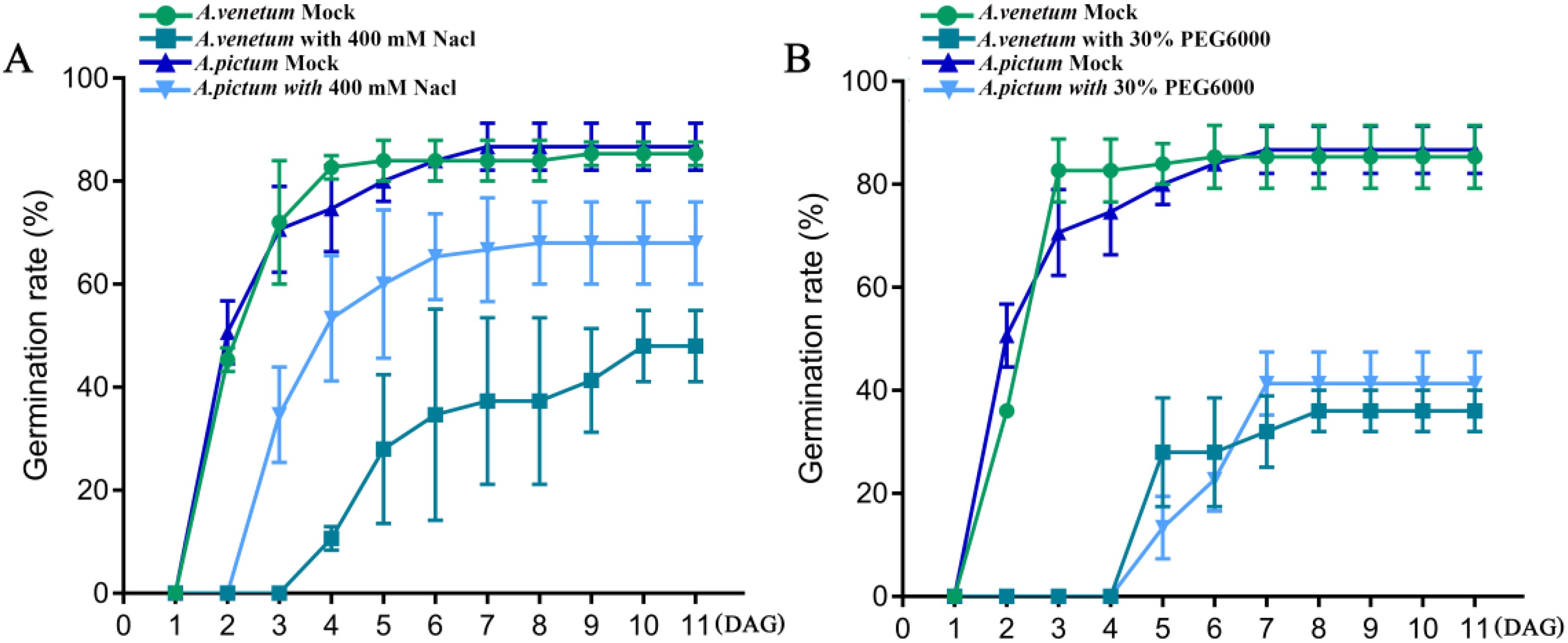 Line graphs A and B present the germination rate percentages of *A. venetum* and *A. pictum* over days after germination (DAG). Graph A compares germination in control conditions and 400 millimolar NaCl, while graph B compares control and thirty percent PEG6000. In both graphs, *A. venetum* shows higher germination rates compared to *A. pictum*, with the control groups outperforming the treated groups. Error bars indicate variability in the data.