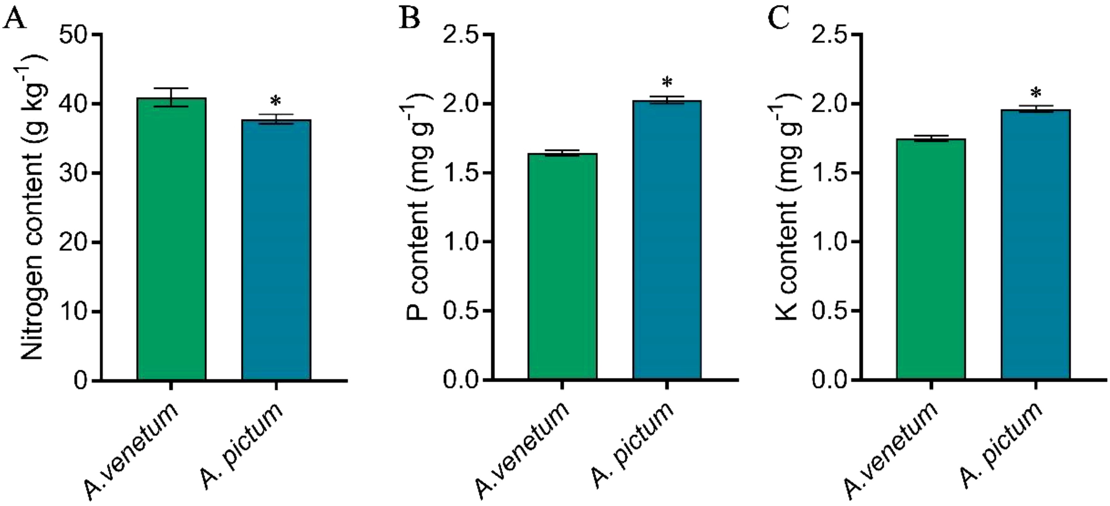 Bar graphs labeled A, B, and C compare the nutrient content between A. venetum and A. pictum. Graph A shows nitrogen content, with A. venetum slightly higher. Graph B shows phosphorus content, with A. pictum higher. Graph C shows potassium content, with A. pictum also higher. An asterisk indicates significant differences in graphs B and C.
