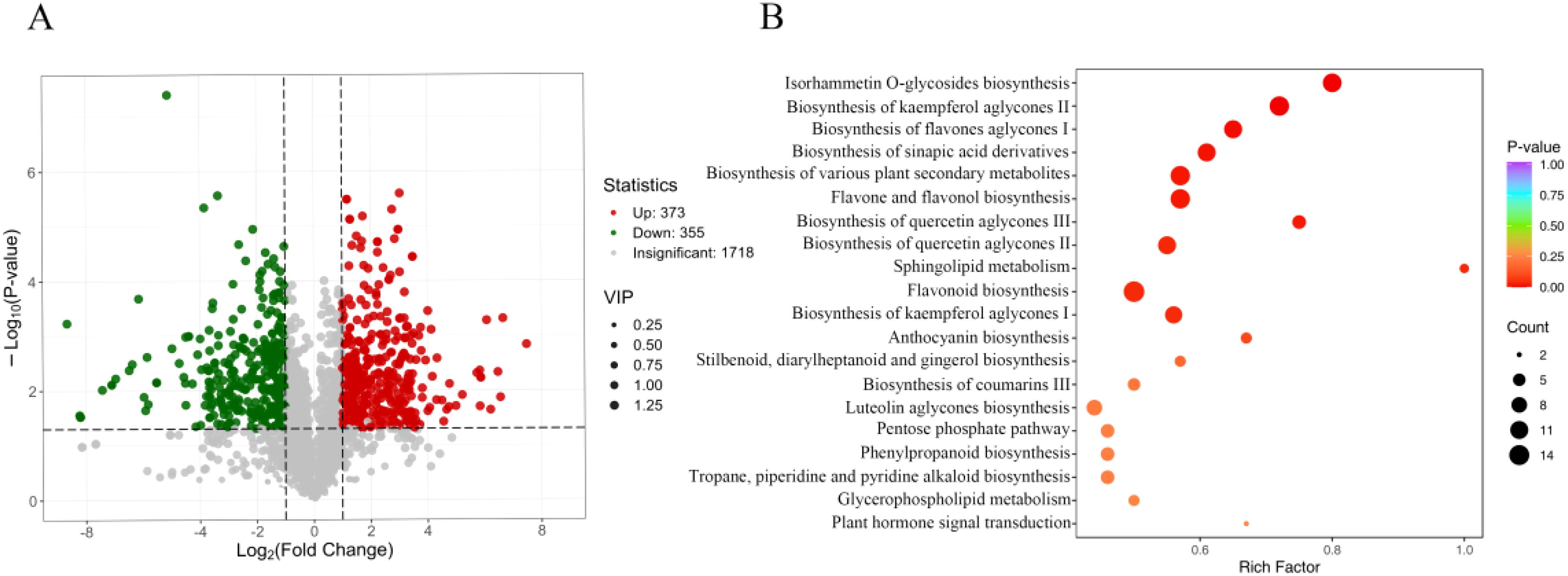 A two-panel figure shows data visualization related to biosynthesis pathways. Panel A is a volcano plot illustrating gene expression changes, with red dots indicating upregulated genes, green dots for downregulated genes, and gray dots for insignificant changes. Panel B is a bubble chart displaying various biosynthesis pathways, with bubble size representing count and color indicating P-value, ranging from red for low values to purple for high values.