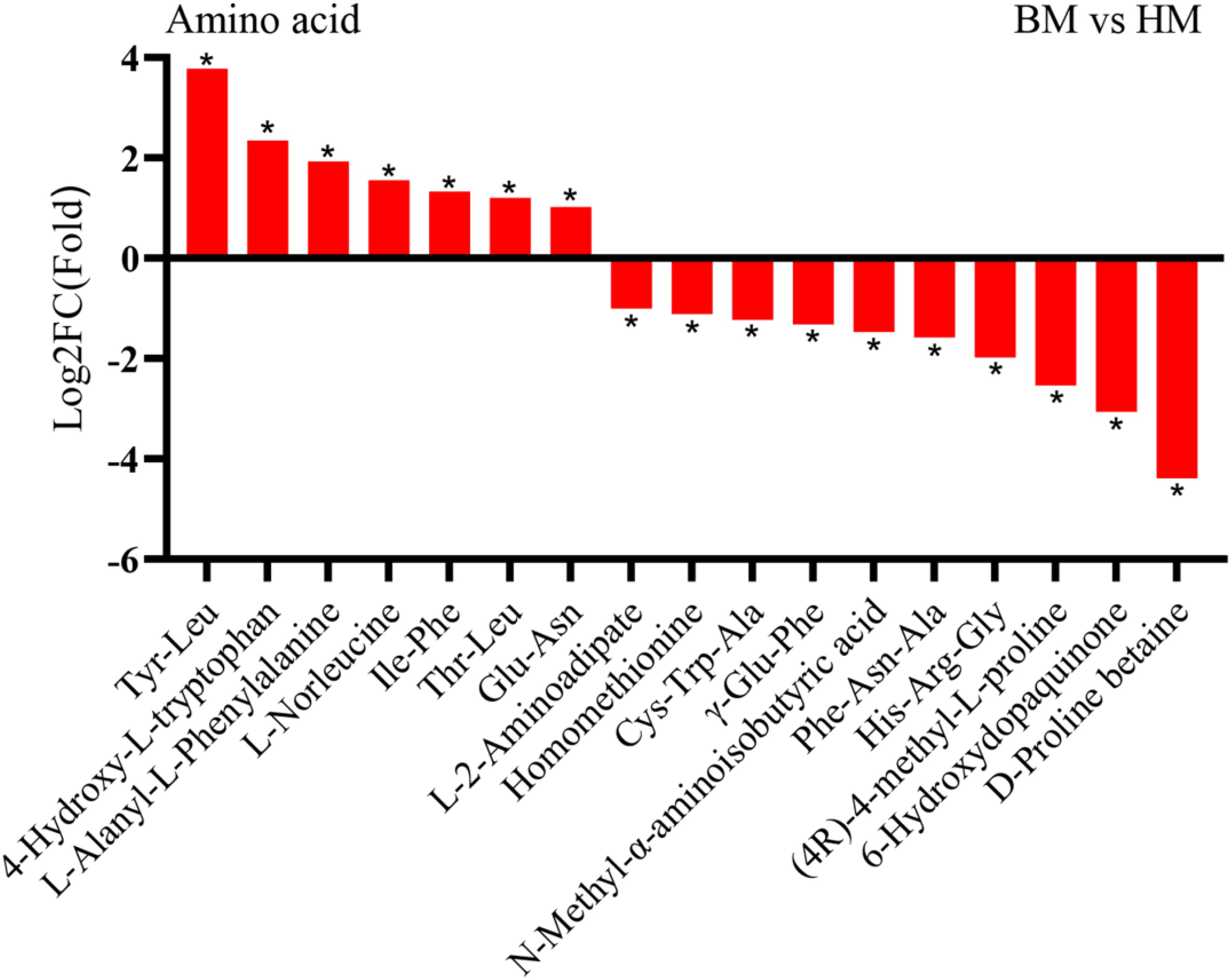 Bar chart showing Log2FC (Fold Change) of various amino acids in BM versus HM. Amino acids such as Tyr-Leu and 4-Hydroxy-L-tryptophan are upregulated, while N-Methyl-α-aminoisobutyrate and D-Proline betaine are downregulated. Statistical significance is marked with asterisks.