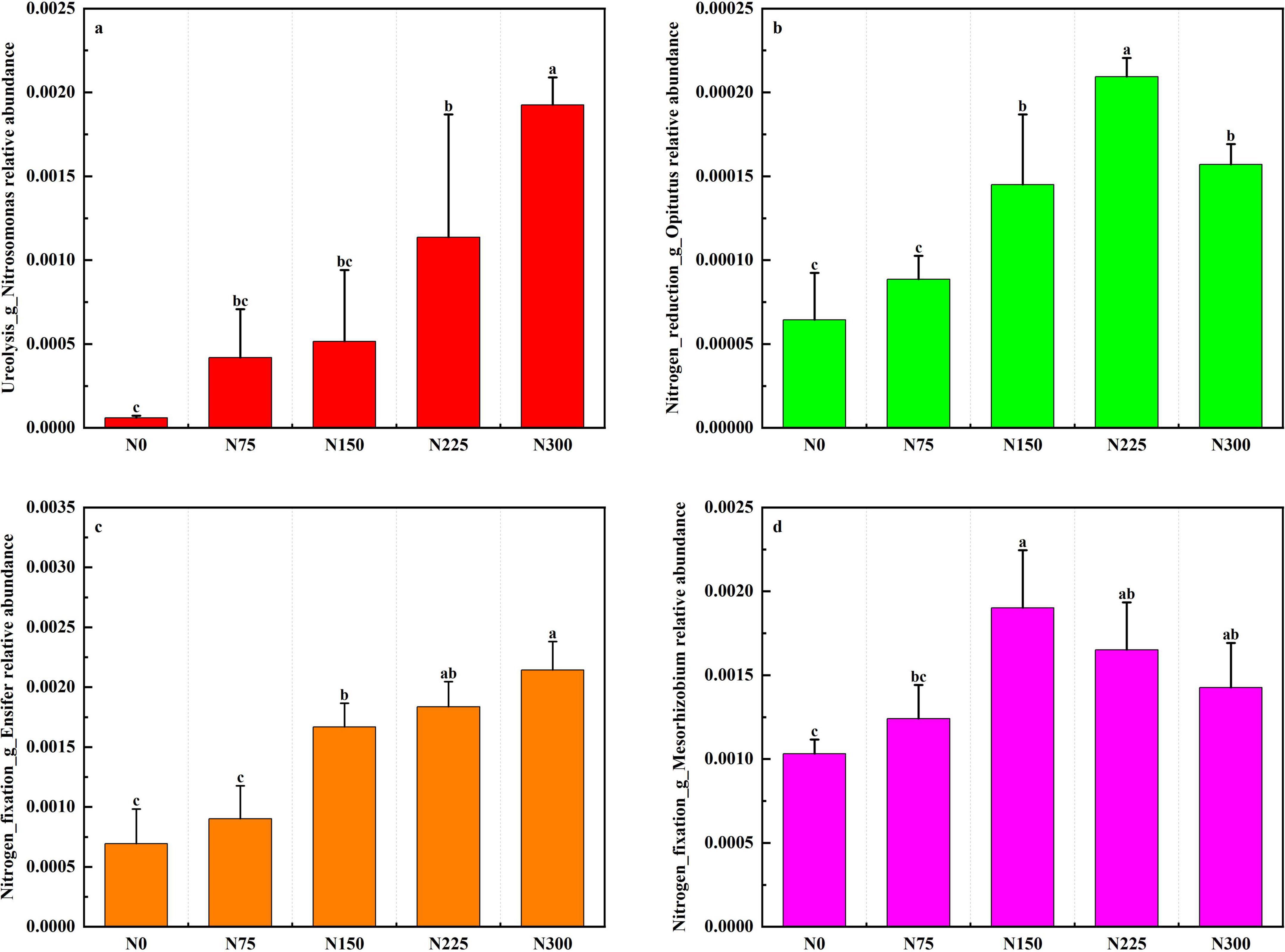 Four bar charts labeled a to d show the relative abundance of different bacteria at varying nitrogen levels: N0, N75, N150, N225, and N300. Chart a in red depicts g_Nitrosomonas, chart b in green shows g_Opitutus, chart c in orange indicates g_Ensifer, and chart d in pink represents g_Mesorhizobium. The abundance generally increases with higher nitrogen levels. Error bars are present, and statistical significance is marked with letters.