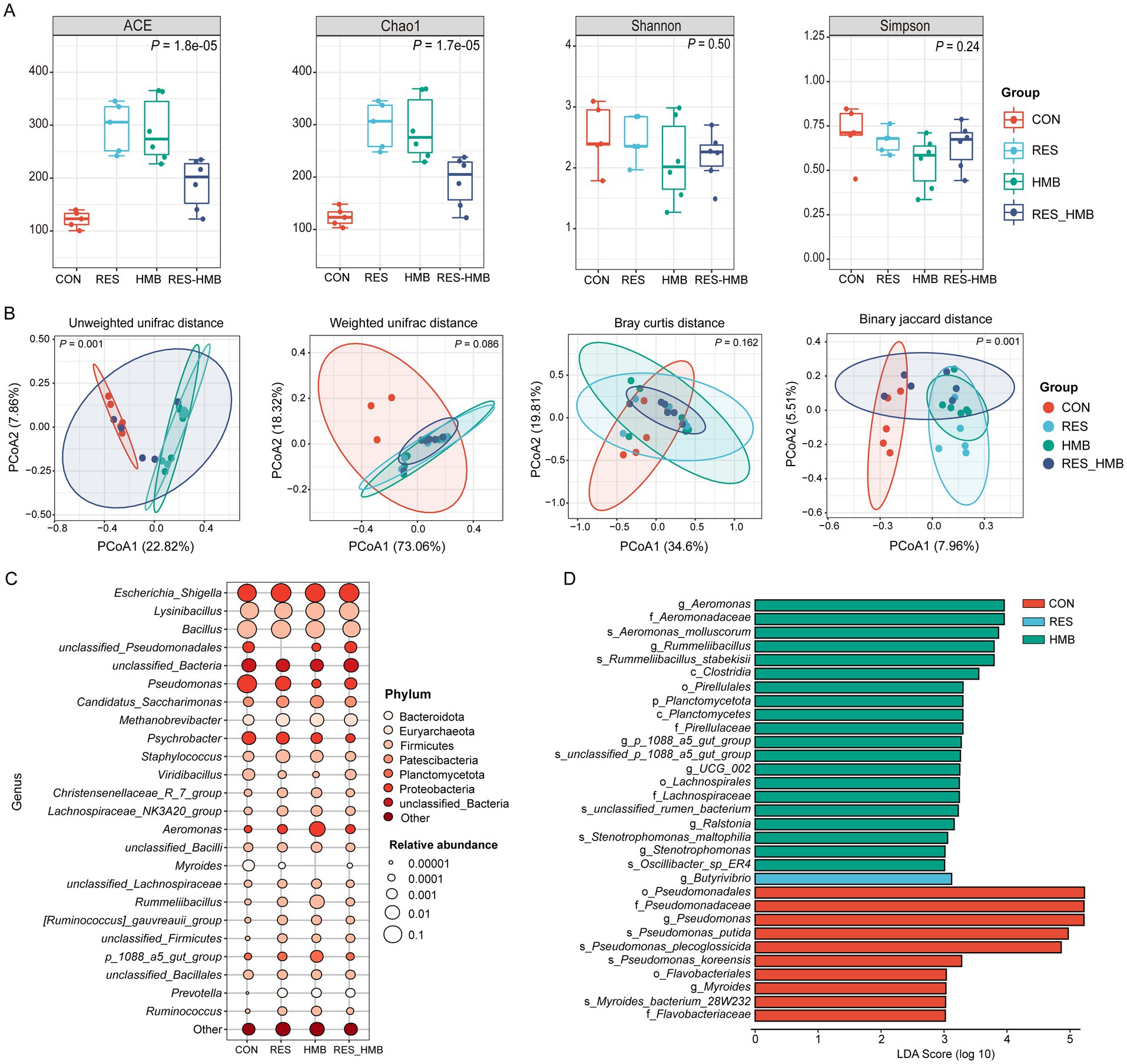 Composite image with four panels: A) Box plots comparing ACE, Chao1, Shannon, and Simpson indices across groups CON, RES, HMB, RES+HMB, with p-values indicating statistical significance. B) PCoA plots showing microbial community structure differences using various distance metrics: unweighted UniFrac, weighted UniFrac, Bray-Curtis, and binary Jaccard, with group clustering. C) Bubble plot of genus-level microbial composition, indicating relative abundance and phylum classification across groups. D) Bar chart displaying LDA scores, highlighting differentially abundant taxa among groups CON, RES, and HMB.