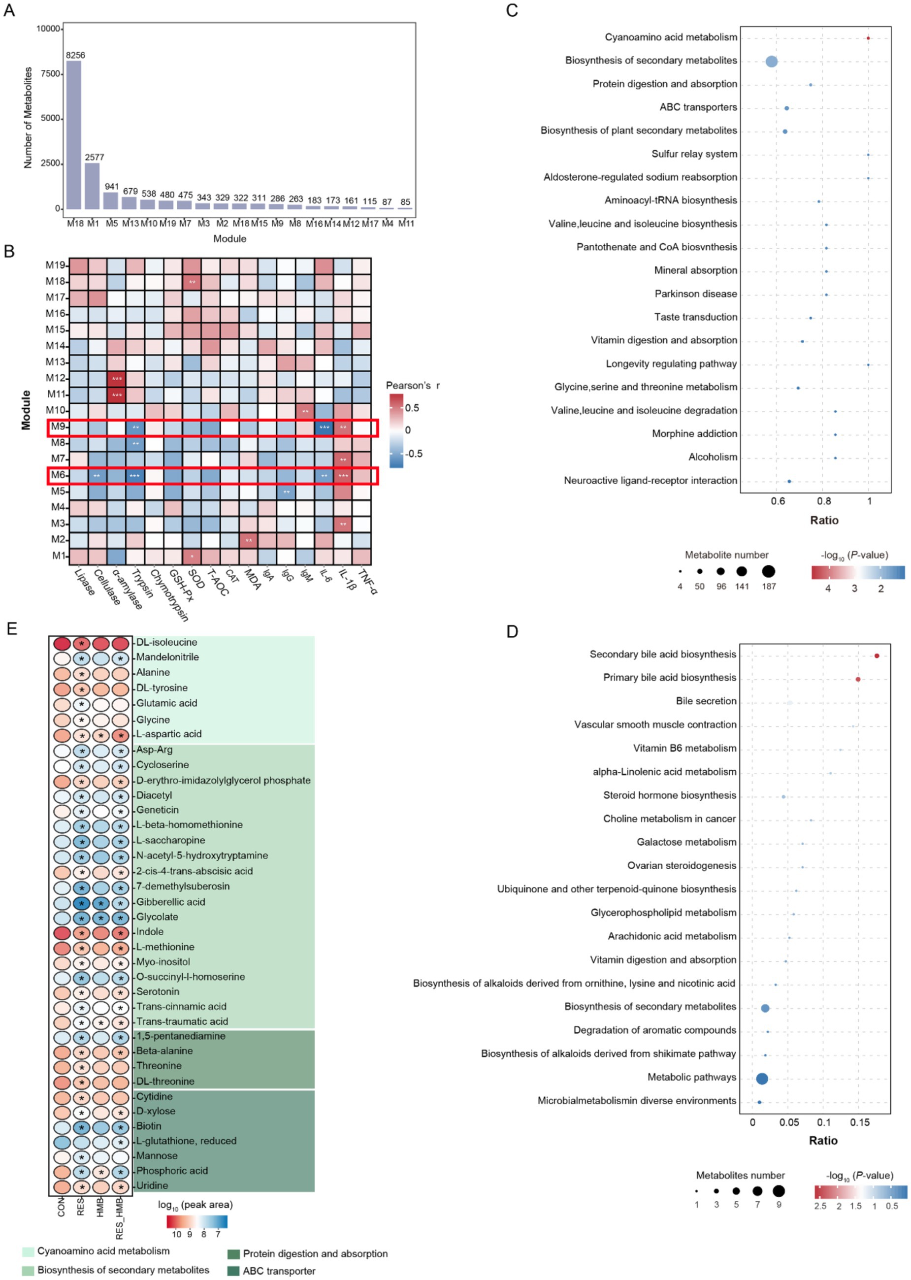 Chart group comprising four panels: (A) Bar chart showing the number of metabolites across different modules, with module M18 having the highest count. (B) Heatmap depicting Pearson's correlation coefficients for various modules, with highlighted modules M5, M6, M8, M9. (C) Dot plot illustrating metabolic pathways and corresponding ratios, with dot size indicating metabolite number and color representing p-values. (D) Dot plot focusing on biosynthesis and metabolism-related pathways. (E) Circular plot showing metabolite names categorized by pathway, with colors indicating the pathway type.