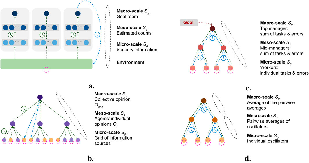 Diagram depicting the four case studies as multiscale feedback systems. Each panel (a, b, c, d) illustrates a different case study: a) robotic collective; b) collective decision-making; c) task distribution; d) hierarchical oscillators