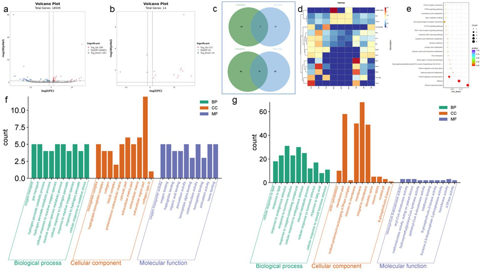 Six panels display various bioinformatics analyses: (a) and (b) volcano plots showing differential gene expression with significant up and downregulated genes; (c) Venn diagrams indicating shared and unique components among conditions; (d) a heatmap illustrating expression levels across samples; (e) a bubble plot of pathway enrichment results with significant pathways colored by p-value; (f) and (g) bar graphs of gene ontology terms categorized by biological processes, cellular components, and molecular functions. Each panel presents distinct data visualization types with specific scientific insights.