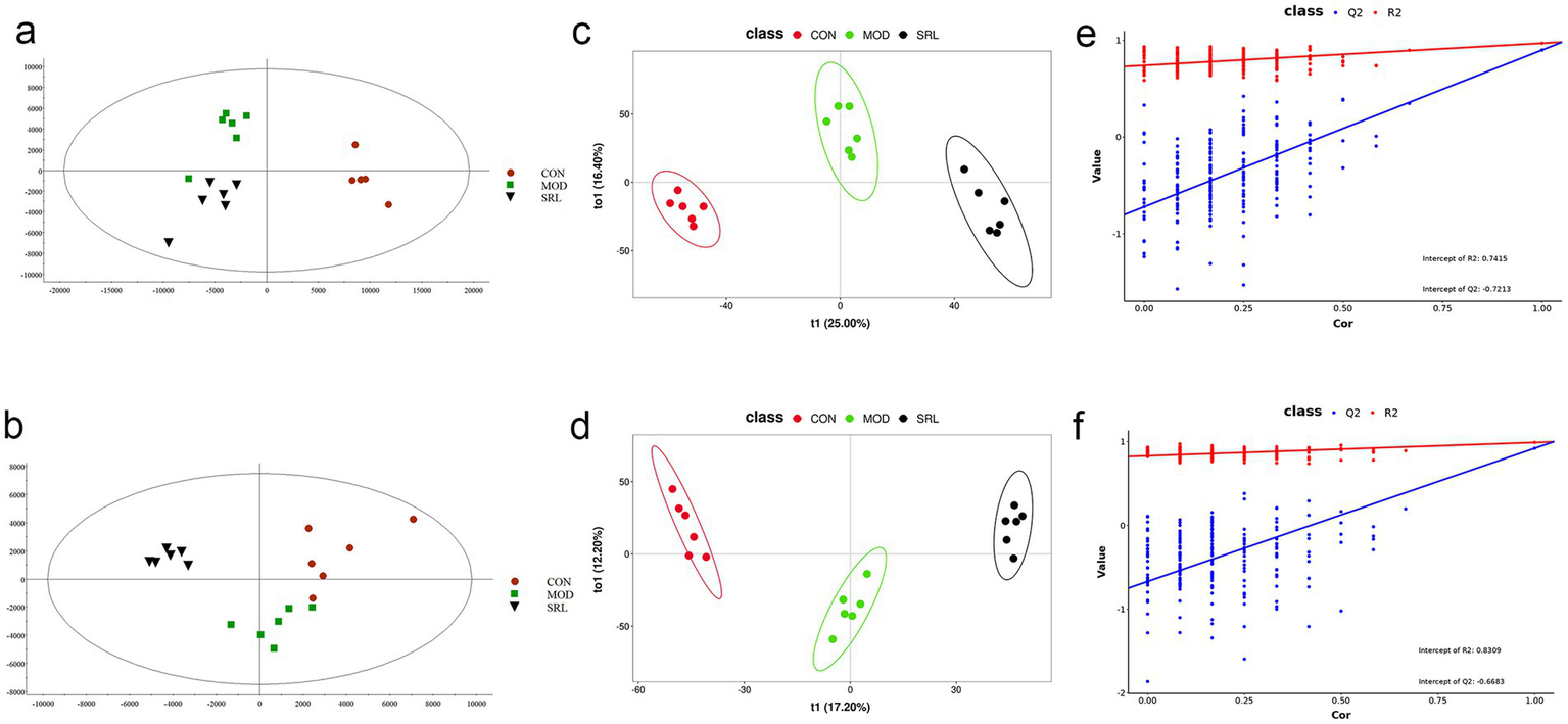 Six-panel image comprising scatter plots and correlation charts. Panels a and b show scatter plots with ellipses, indicating class separations among CON, MOD, and SRL groups, using different colored markers. Panels c and d depict similar scatter plots highlighting percentage variance explained on axes. Panels e and f display correlation graphs with red and blue lines representing classes Q2 and R2, showing trend lines with specified intercepts.