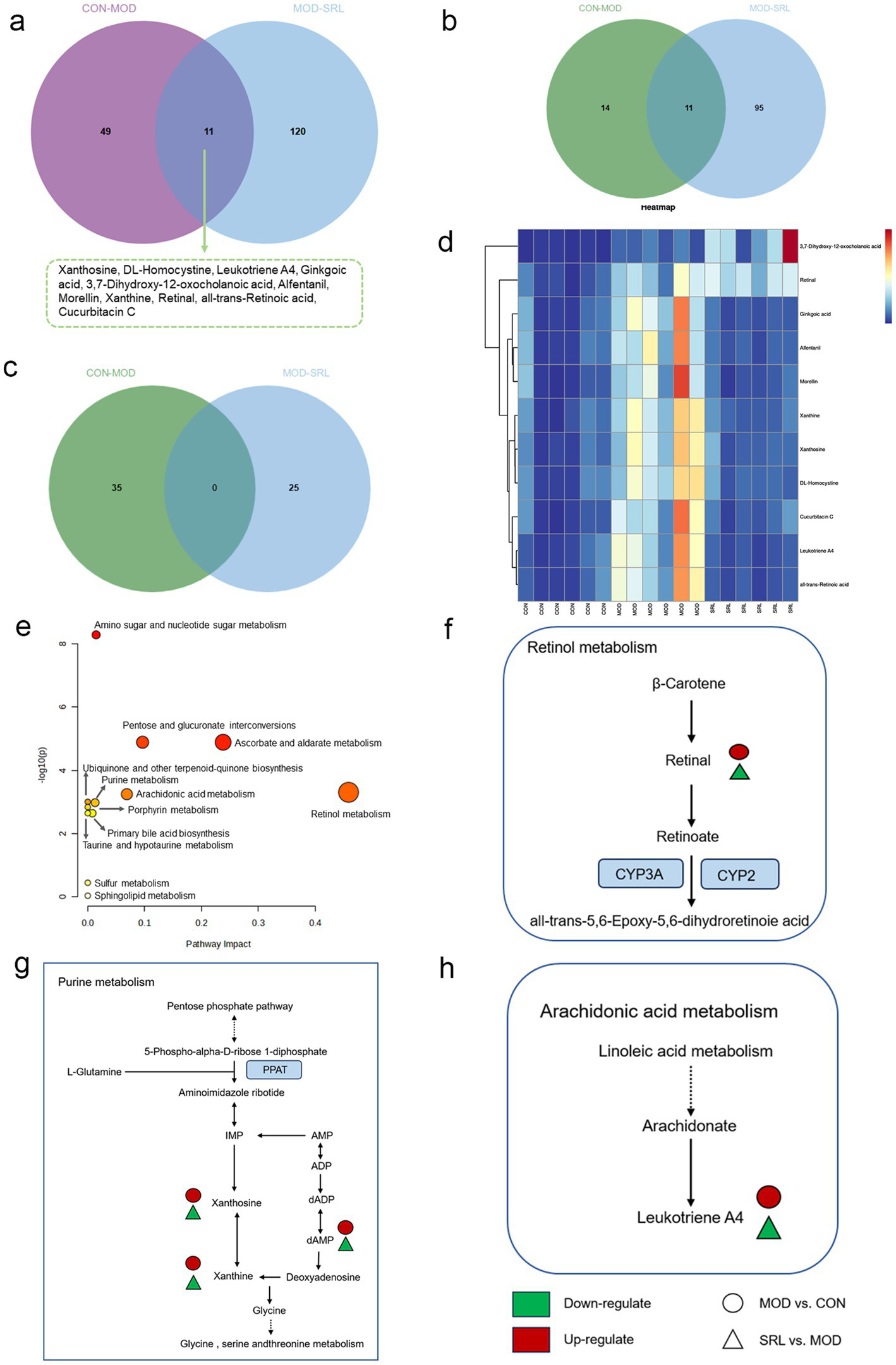 A composite image features multiple scientific diagrams: (a) Venn diagram showing overlapping metabolites between CON-MOD and MOD-SRL groups, listing specific metabolites. (b) Another Venn diagram with overlapping items without labels. (c) A third Venn diagram without overlap. (d) Heatmap displaying the expression levels of various metabolites, color-coded. (e) Scatter plot illustrating pathway impact versus significance of metabolic pathways. (f-h) Diagrams for retinol, purine, and arachidonic acid metabolism pathways showing upregulation and downregulation, using color-coded shapes. The legend explains the color codes: green for down-regulation, red for up-regulation, with circles and triangles for group comparisons.