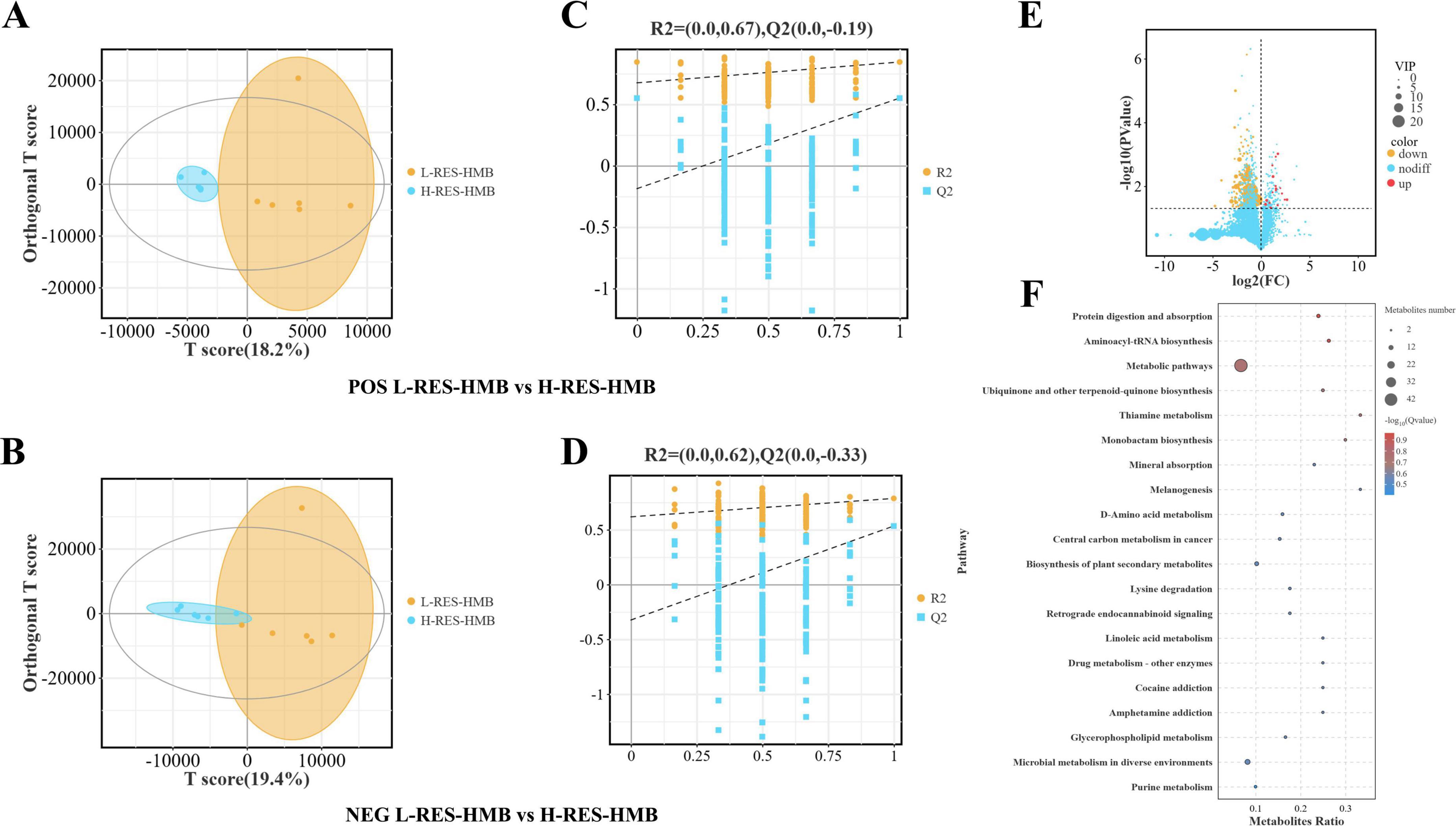 Cluster of six charts labeled A through F, analyzing differences between L-RES-HMB and H-RES-HMB groups. A and B show orthogonal T score plots with data points in distinct colors. C and D display prediction scatter plots with R2 and Q2 values. E is a volcano plot highlighting upregulated and downregulated variables. F is a pathway analysis dot plot listing metabolic pathways, with size indicating significance.