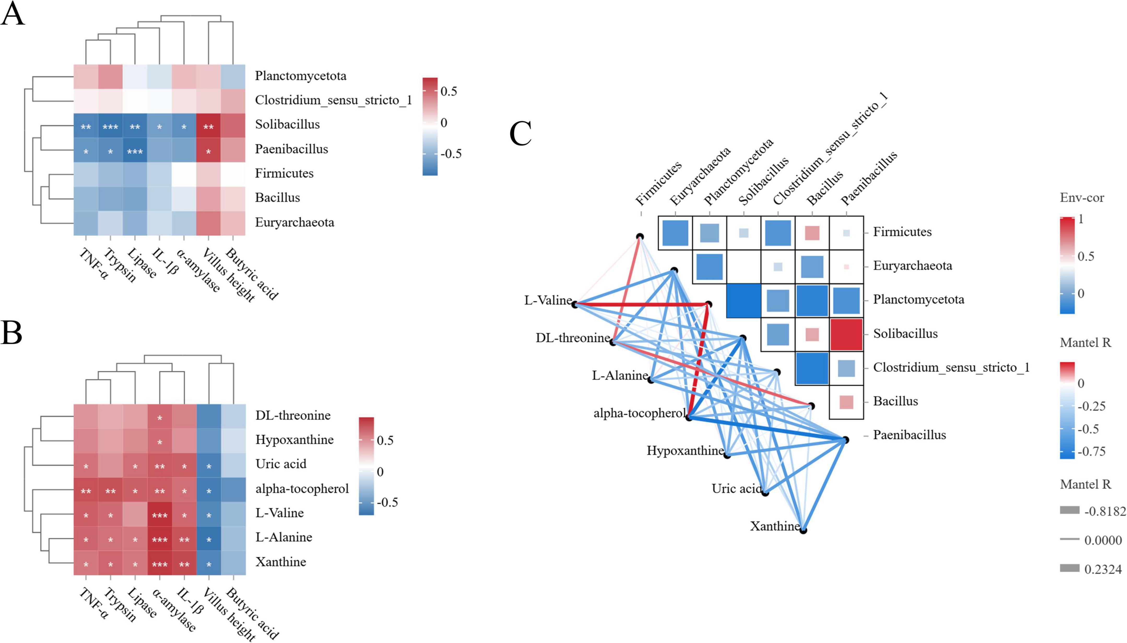 “Three heat maps and a network graph analyze microbial and chemical correlations. A) Displays microbial taxa against inflammatory markers, with color gradients from blue to red indicating correlation strength. B) Shows metabolites against inflammatory markers, using a similar color scale. C) Combines both datasets, presenting a correlation network with microbial taxa and metabolites, where connections are colored by correlation strength.”