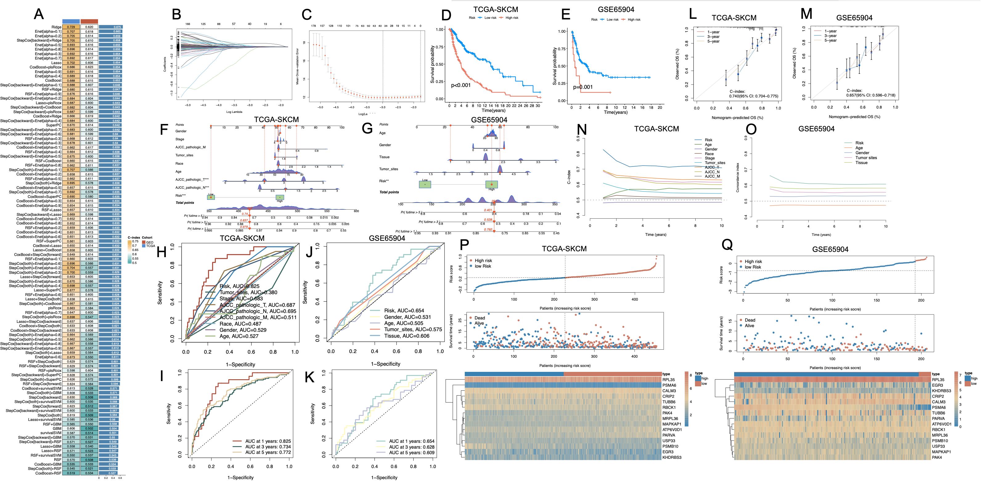 A collection of charts and graphs displaying survival analysis, risk assessment, and predictive modeling for cancer data. Panel A presents a table of model performance metrics. Panels B and C depict line charts for model selection. Panels D and E show Kaplan-Meier survival curves for TCGA-SKCM and GSE65904 datasets. Panel F and G contain nomograms for risk prediction. Panels H to K include ROC curves. Panels L and M demonstrate calibration plots. Panels N and O show line graphs of C-index over time. Panels P and Q display risk score distributions, patient survival status, and heatmaps of gene expression.