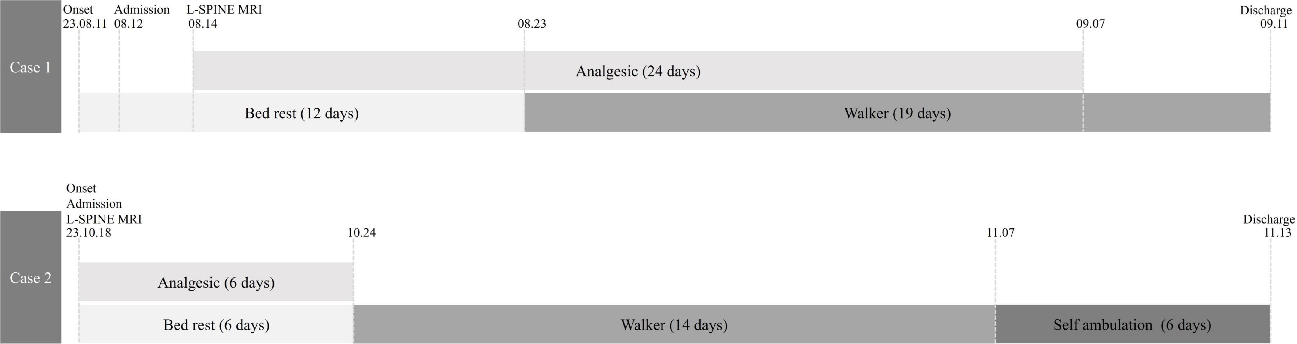 Timeline graphic comparing two cases of medical treatment progression. Case 1, from 2023, includes 12 days of bed rest, 24 days of analgesic use, followed by 19 days using a walker. Case 2, from 2023, involves 6 days of bed rest and analgesic use, 14 days with a walker, followed by 6 days of self-ambulation. Dates for medical milestones such as onset, admission, MRI, and discharge are noted for each case. The upper bar on the horizontal axis represents analgesic medication use, and the lower bar indicates orthostatic and gait abilities.