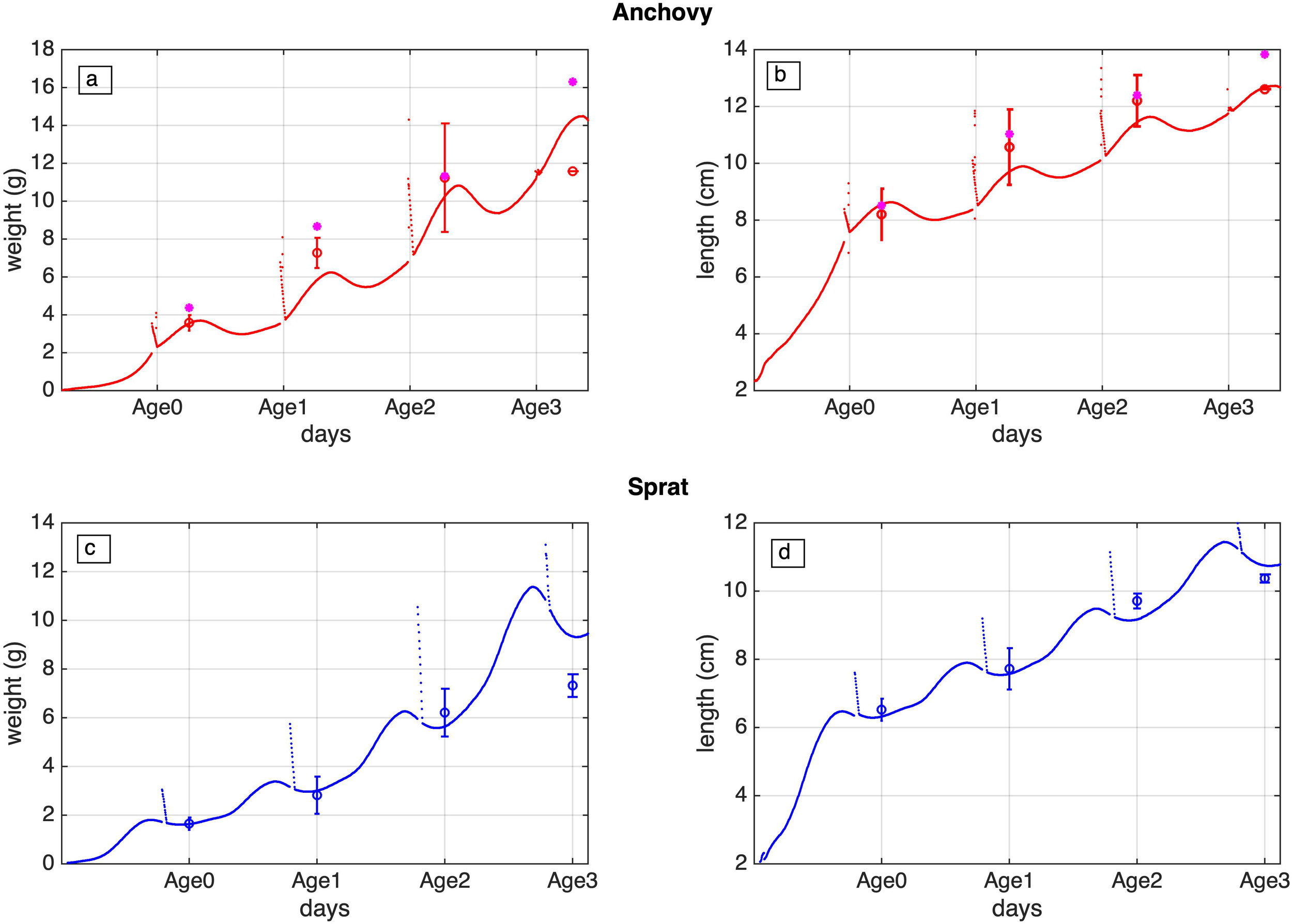 Four graphs showing the growth of anchovies over four years in terms of weight and length. Graph a: Red line depicting weight (grams) increasing from ages zero to three. Graph b: Red line illustrating length (centimeters) increasing over the same period. Graph c: Blue line representing weight growth similarly from ages zero to three. Graph d: Blue line showing length growth during the same period. Both line styles include error bars, suggesting statistical variance.