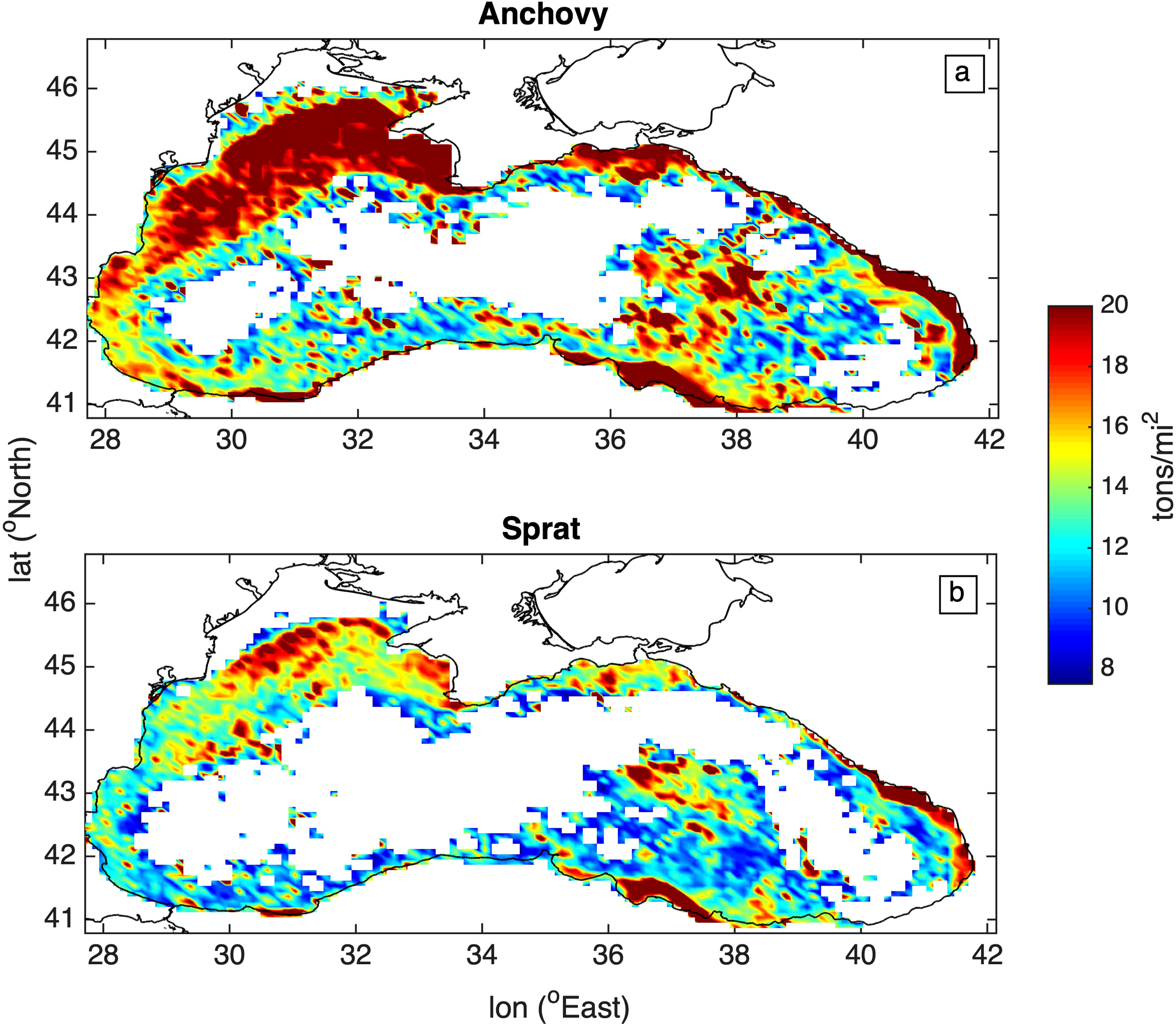 Maps displaying the distribution of anchovy and sprat biomass in the Black Sea. The top map shows anchovy distribution with higher concentrations in red and lower in blue. The bottom map displays sprat distribution with a similar color gradient. Both maps are labeled with latitude and longitude coordinates, and a color bar on the right indicates biomass density in tons per square mile.