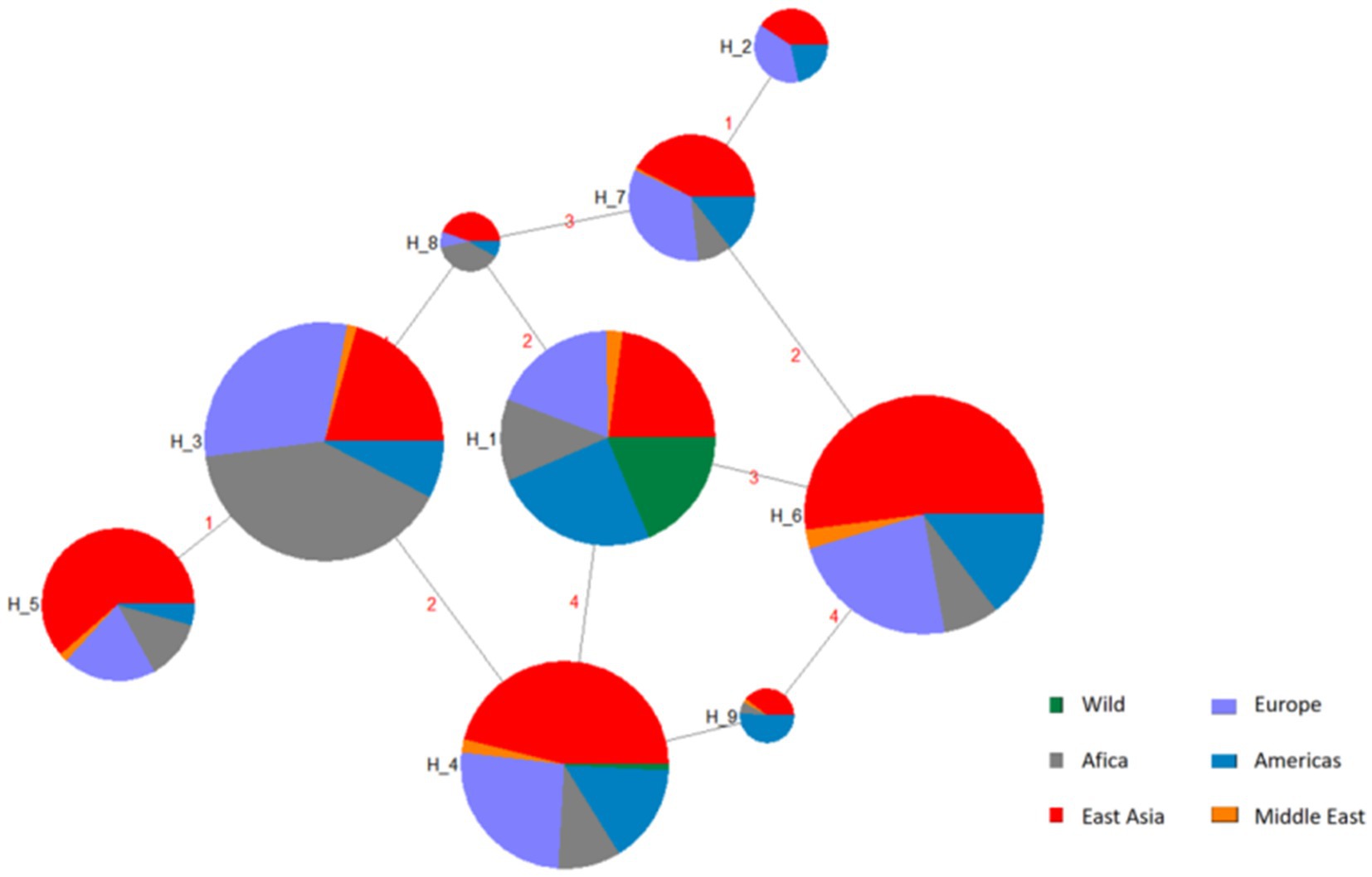 Network diagram featuring pie charts connected by lines, representing genetic distribution across regions. Colors denote Wild (green), Europe (purple), Africa (gray), Americas (blue), East Asia (red), and Middle East (orange).
