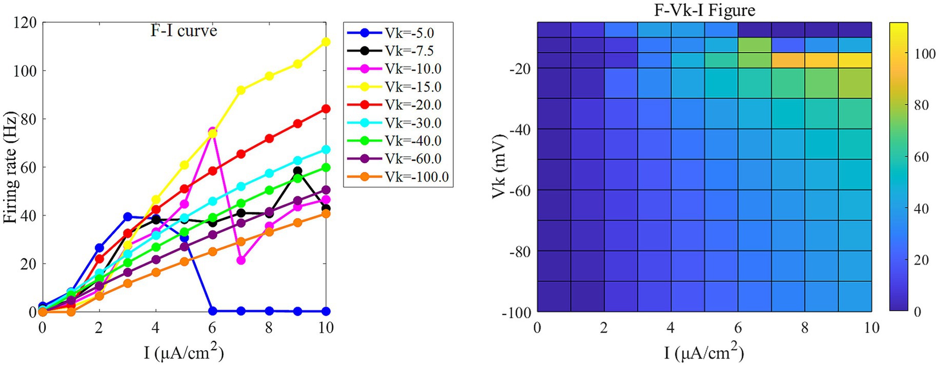 Left graph titled “F-I curve” shows firing rate in Hertz versus current in microamperes per square centimeter for various Vk values, with distinct colored lines. Right graph titled “F-Vk-I Figure” is a heatmap showing Vk in millivolts versus the same current range, with colors indicating firing rates from zero to one hundred Hertz.