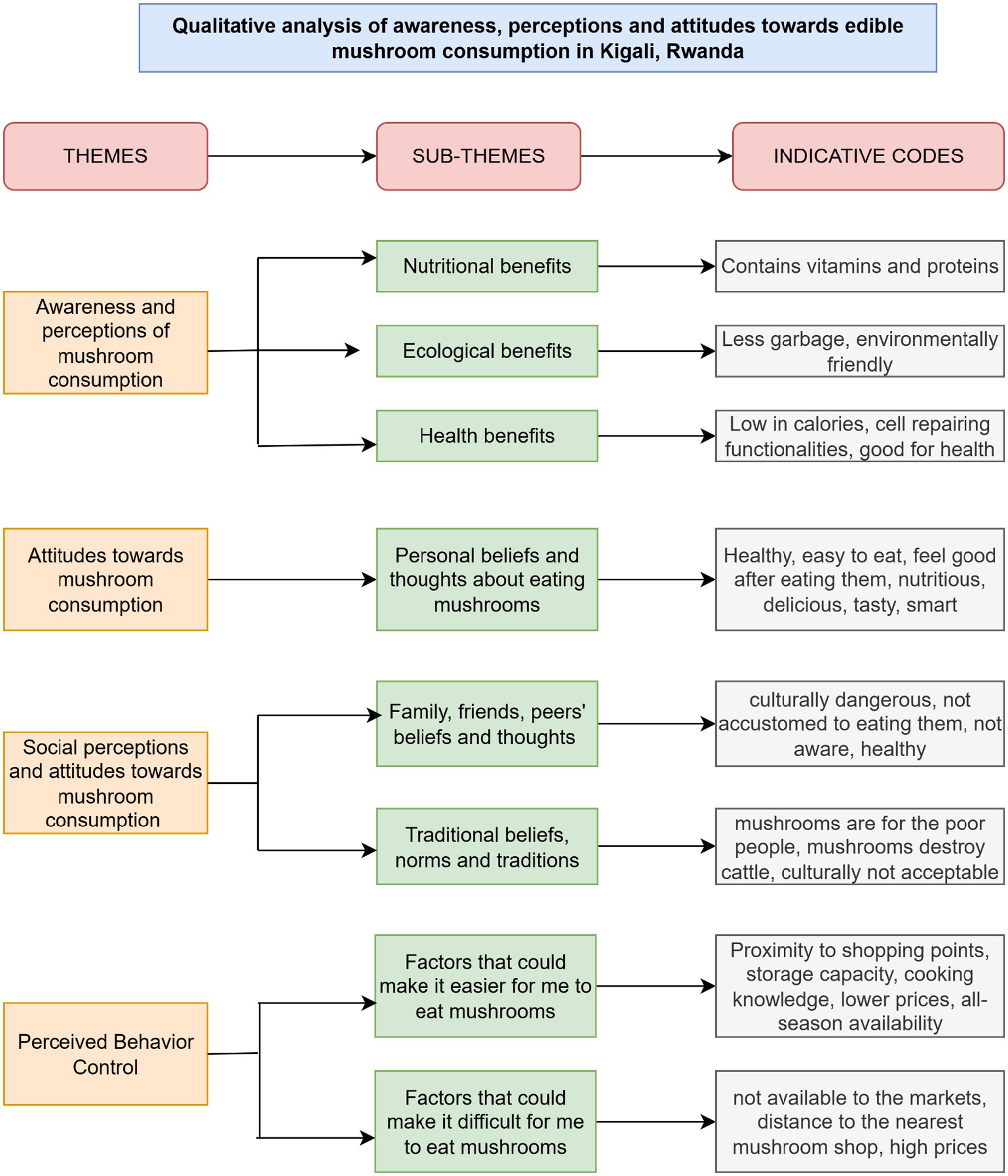 Flowchart of qualitative analysis on perceptions, awareness, and attitudes towards edible mushroom consumption in Kigali, Rwanda. It includes themes: Awareness and perceptions, Attitudes, Social perceptions, Evaluation of Self-Efficacy. Each theme branches into sub-themes and indicative codes, such as nutritional, ecological, and health benefits, personal and social beliefs, and factors affecting mushroom consumption ease or difficulty.