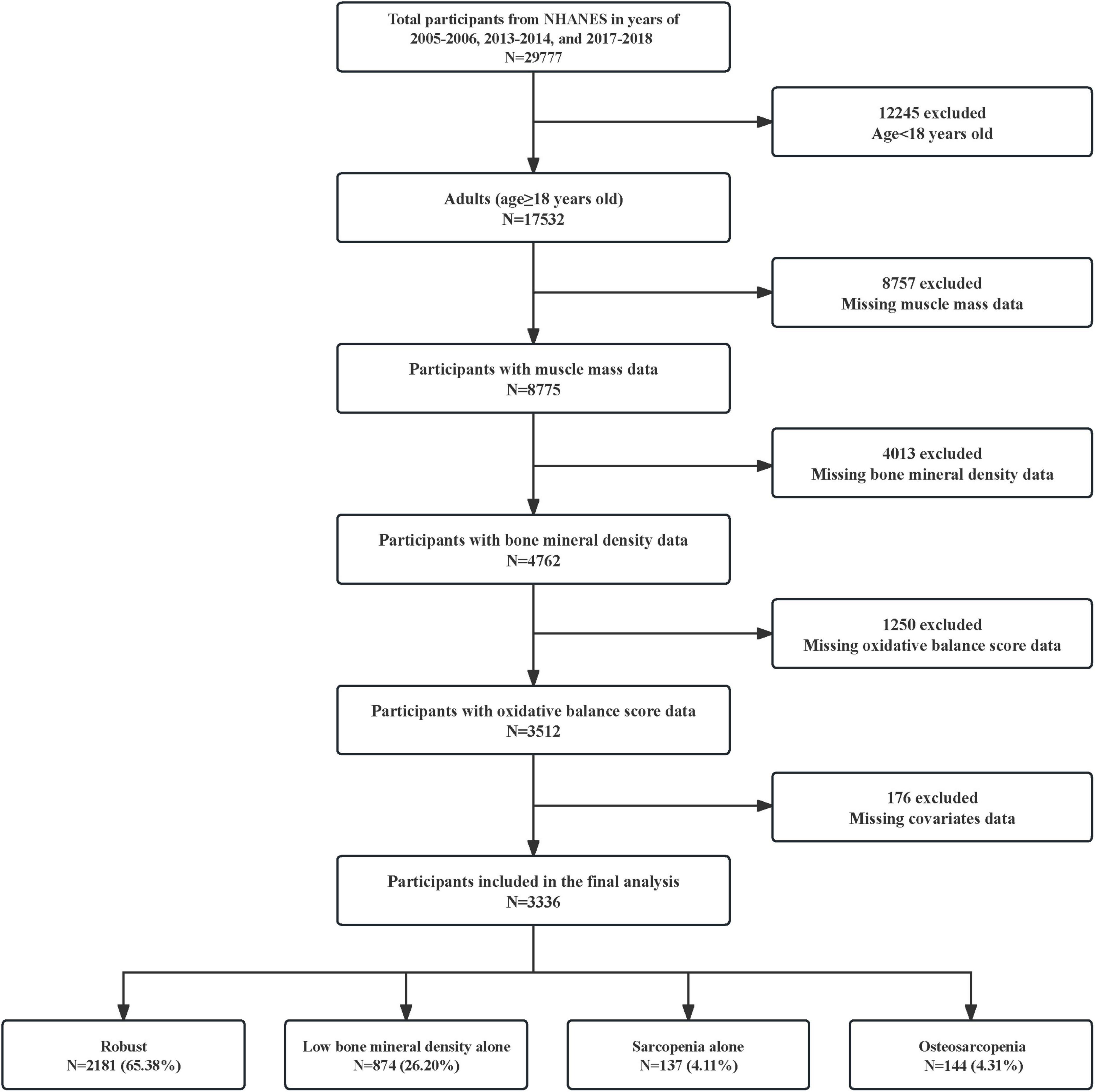 Flowchart depicting participant selection from NHANES data for 2005-2006, 2013-2014, and 2017-2018. Starting with 29,777 participants, 12,245 under 18 years are excluded. Adults (17,532) move forward; 8,757 lacking muscle mass data are excluded. Muscle mass data available for 8,775 participants; 4,013 without bone mineral density data are excluded. Bone mineral density data available for 4,762 participants; 1,250 lacking oxidative balance score data are excluded. Oxidative balance data available for 3,512 participants; 176 with missing covariates are excluded. Final analysis includes 3,336 participants: Robust (2,181; 65.38%), Low bone mineral density alone (874; 26.20%), Sarcopenia alone (137; 4.11%), Osteosarcopenia (144; 4.31%).