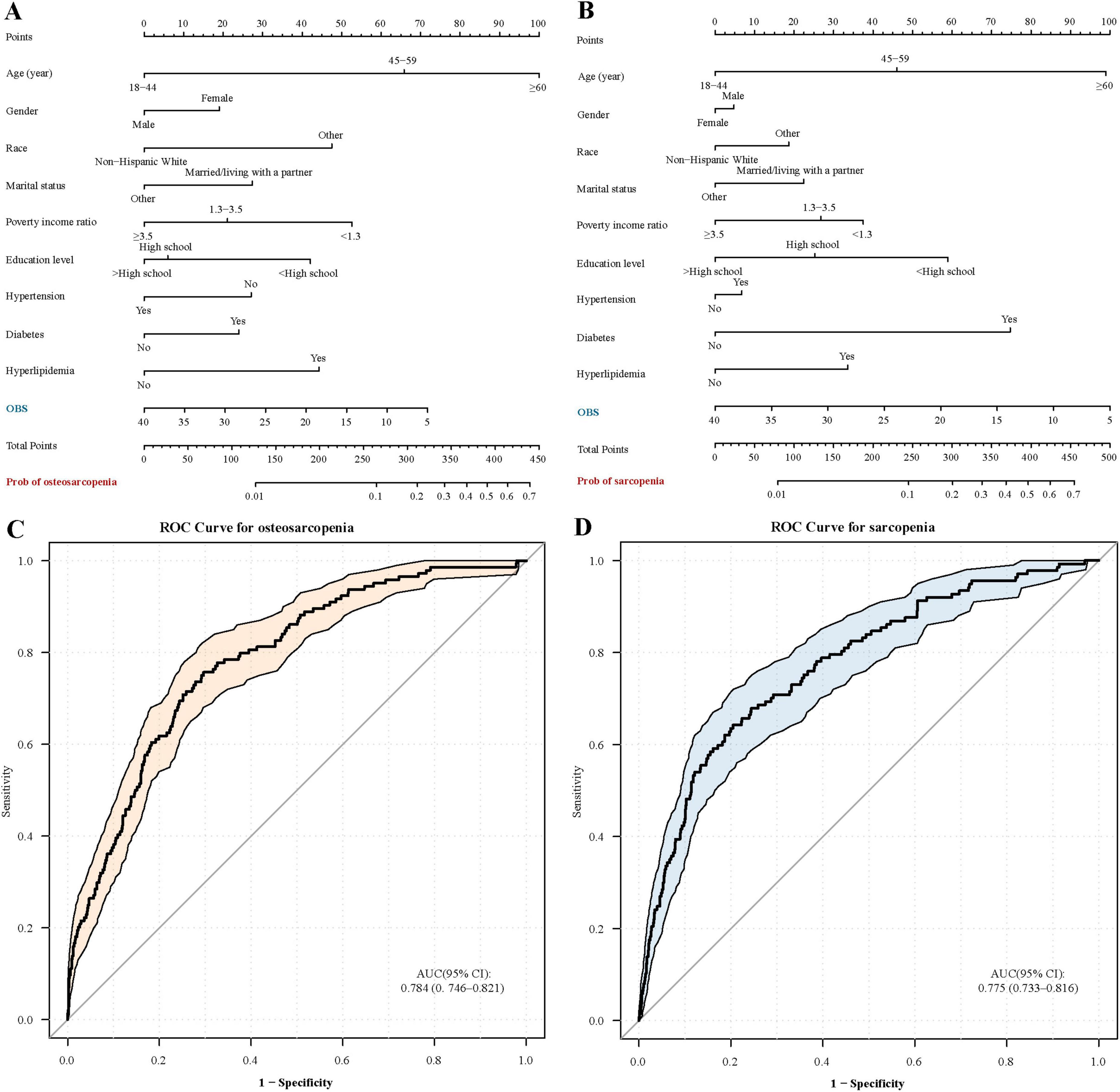 Panels A and B display scoring systems for predicting osteosarcopenia and sarcopenia, respectively, using demographic, health, and socioeconomic factors. Panels C and D show ROC curves for osteosarcopenia and sarcopenia predictions. The curves indicate model accuracy, with AUC values of 0.784 for osteosarcopenia and 0.775 for sarcopenia.