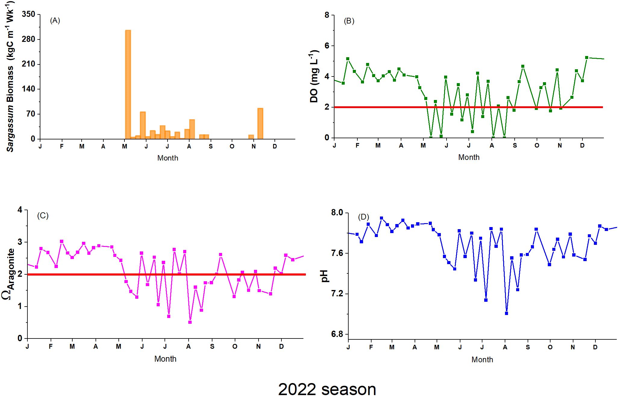 Four-panel graph showing data from the 2022 season. (A) Bar chart of Sargassum biomass in orange, peaking in May. (B) Line chart of dissolved oxygen (DO) in green, fluctuating below the red threshold of 2 milligrams per liter at times. (C) Line chart of aragonite saturation in pink, often below the threshold of 2. (D) Line chart of pH in blue, varying slightly around 7.6 to 8.0. Each chart represents monthly data from January to December.