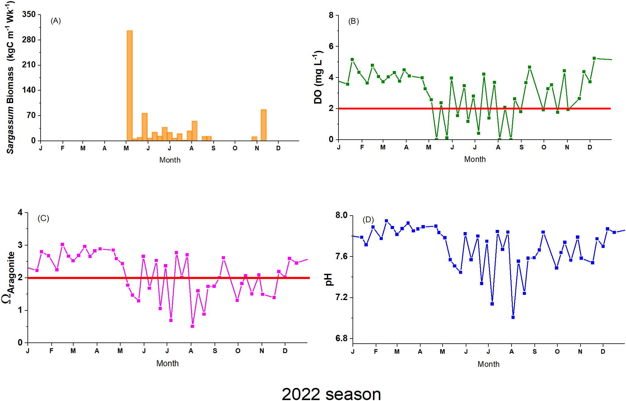 Four-panel graph showing data from the 2022 season. (A) Bar chart of Sargassum biomass in orange, peaking in May. (B) Line chart of dissolved oxygen (DO) in green, fluctuating below the red threshold of 2 milligrams per liter at times. (C) Line chart of aragonite saturation in pink, often below the threshold of 2. (D) Line chart of pH in blue, varying slightly around 7.6 to 8.0. Each chart represents monthly data from January to December.