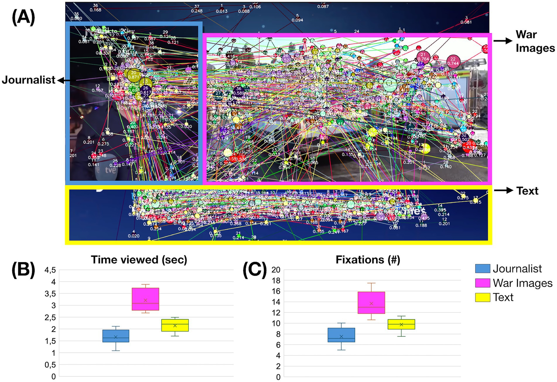 Composite image showing (A) a cluttered visualization of eye-tracking data overlaid on sections labeled Journalist, War Images, and Text, indicated by blue, pink, and yellow borders respectively. (B) and (C) are box plots representing the time viewed in seconds and the number of fixations for each section, with War Images showing the highest metrics, followed by Text and Journalist.