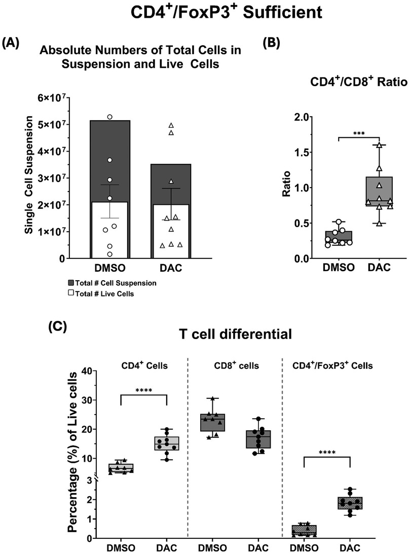 Bar and box plots showing CD4⁺/FoxP3⁺ T cell data for DMSO and DAC treatments. (A) Bar plot of total and live cell numbers. (B) Box plot of CD4⁺/CD8⁺ ratio, DAC significantly higher. (C) Box plots of CD4⁺, CD8⁺, and CD4⁺/FoxP3⁺ cell percentages, with differences noted between treatments.