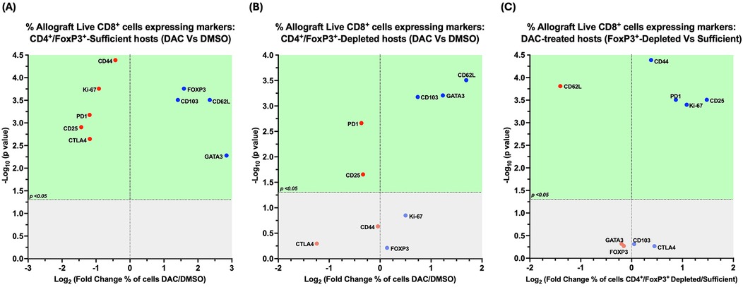 Volcano plots labeled A, B, and C show the expression of markers in allograft live CD8+ cells under various conditions. The y-axis represents the negative logarithm base ten of the p-value, and the x-axis represents the logarithm base two fold change. In (A), markers CD44, Ki-67, and CD25 show significant expression. In (B), PD1 and CD25 are notable. In (C), CD62l shows significant change. Data points are color-coded to represent significance levels in a green background, with the significance threshold marked at p < 0.05.
