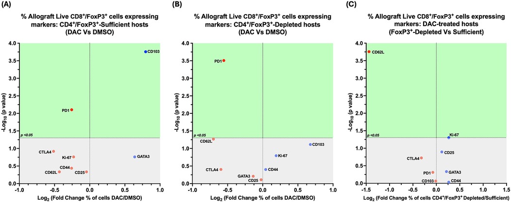 Three scatter plots labeled A, B, and C compare the percentage of allograft live CD8+/FoxP3+ cells expressing markers under different conditions. Each plot shows log2 fold change in percentage of cells versus negative log10 P value, highlighting markers like PD1, CD103, CD62l, and Ki-67. The green area indicates statistical significance (P < 0.05).