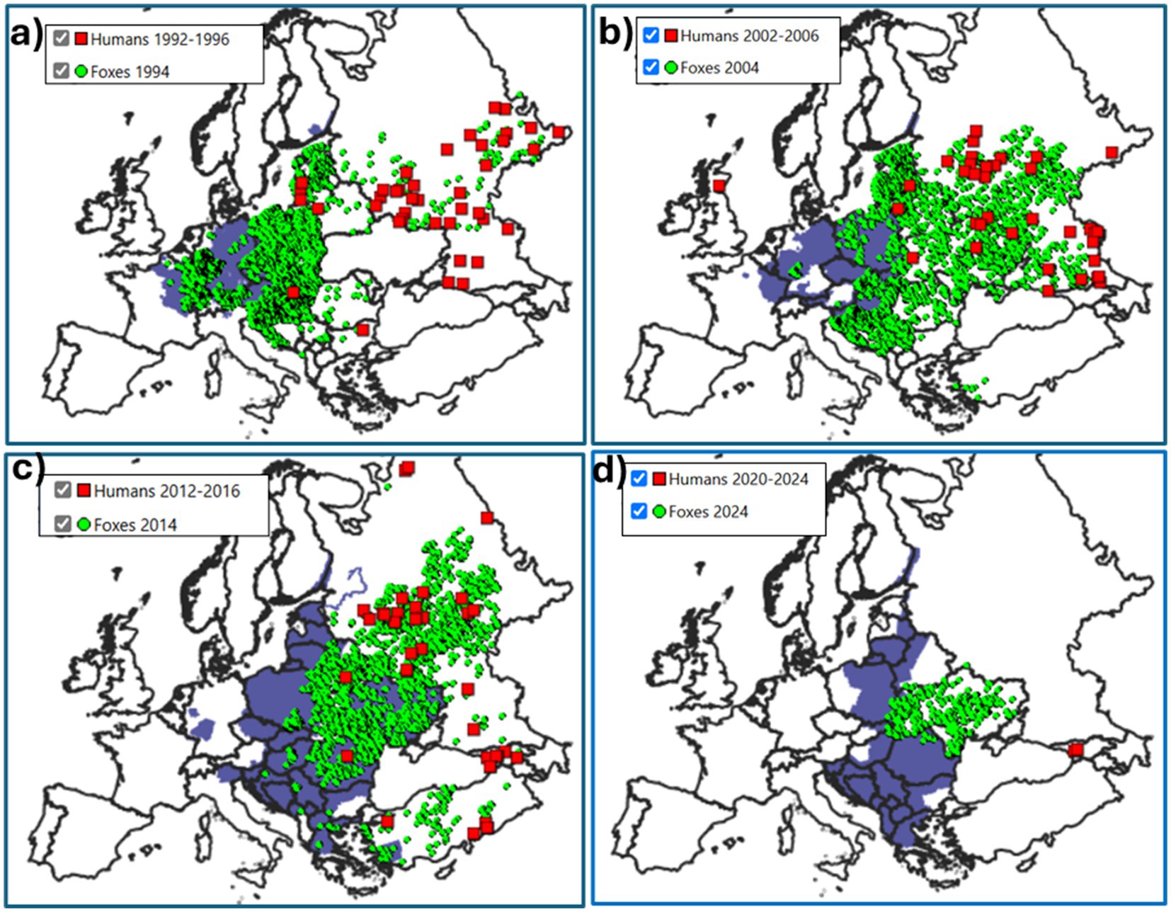 Four-panel map showing rabies cases in Europe across different periods for humans and foxes. Panel a) (1992-1996): High concentration of cases in Central Europe. Panel b) (2002-2006): Increased distribution, spreading eastward. Panel c) (2012-2016): Cases shift further east. Panel d) (2020-2024): Significant reduction, mostly eastern cases remain. Red squares represent human cases, green circles indicate fox cases, and blue shading shows areas in which oral vaccination fox campaigns were conducted.