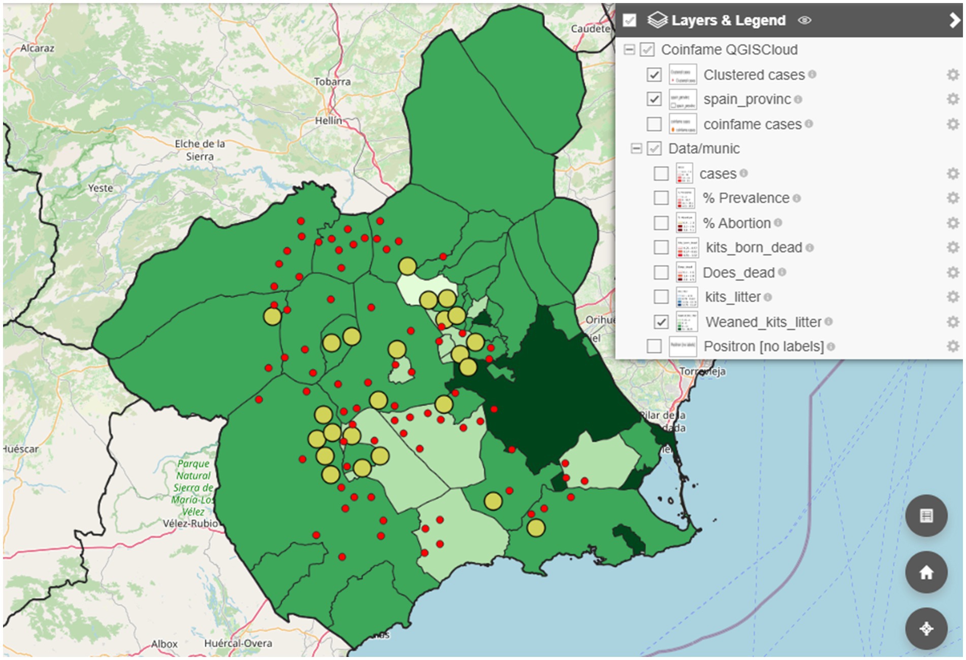 Map of Murcia (southern Spain) showing clustered case data with different shades of green representing municipality divisions. Red dots and yellow circles indicate specific data points. A legend on the right details map layers, including clustered cases and various data metrics such as prevalence and litter statistics. The Mediterranean Sea is at the bottom of the map.