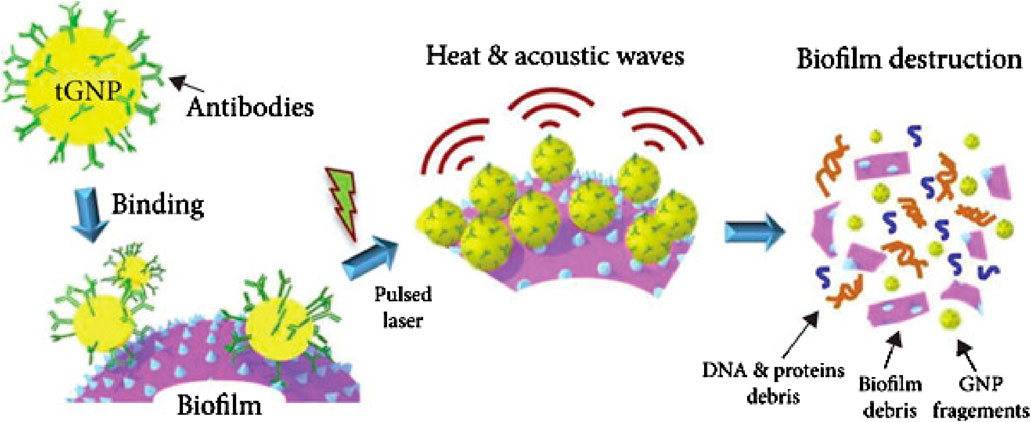 Illustration showing a process involving tGNP (targeted gold nanoparticles) with antibodies binding to a biofilm. A pulsed laser induces heat and acoustic waves, leading to biofilm destruction. Debris includes DNA, proteins, biofilm fragments, and GNP fragments.