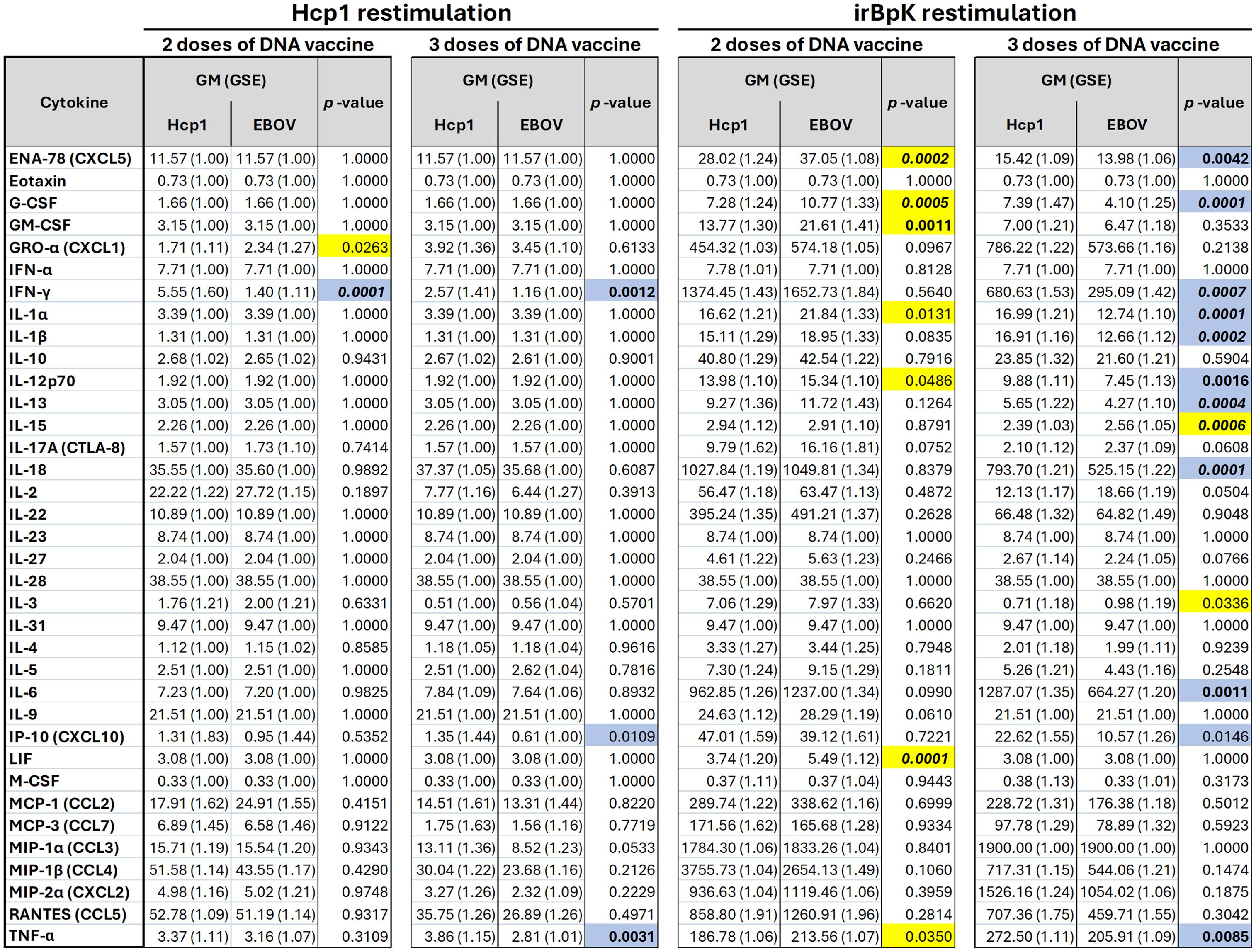 Table comparing cytokine levels after two and three doses of a DNA vaccine following Hcp1 and irBpK restimulation. It includes Geometric Mean (GM), Standard Error (GSE), and p-values. Significant p-values are highlighted in yellow and blue, indicating statistical relevance. Each column corresponds to different stimulants and vaccine doses with measurements given for Hcp1 and EBOV responses.