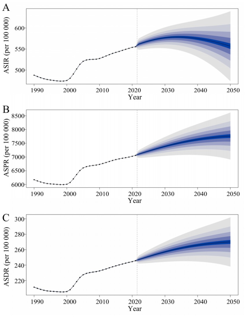 Line graphs show projections from 1990 to 2050: (A) ASIR starts around 500 and increases slightly. (B) ASPR begins at 6,000, showing a rising trend. (C) ASDR starts at 220, showing gradual growth. All graphs forecast growth from 2020 with expanding uncertainty intervals.