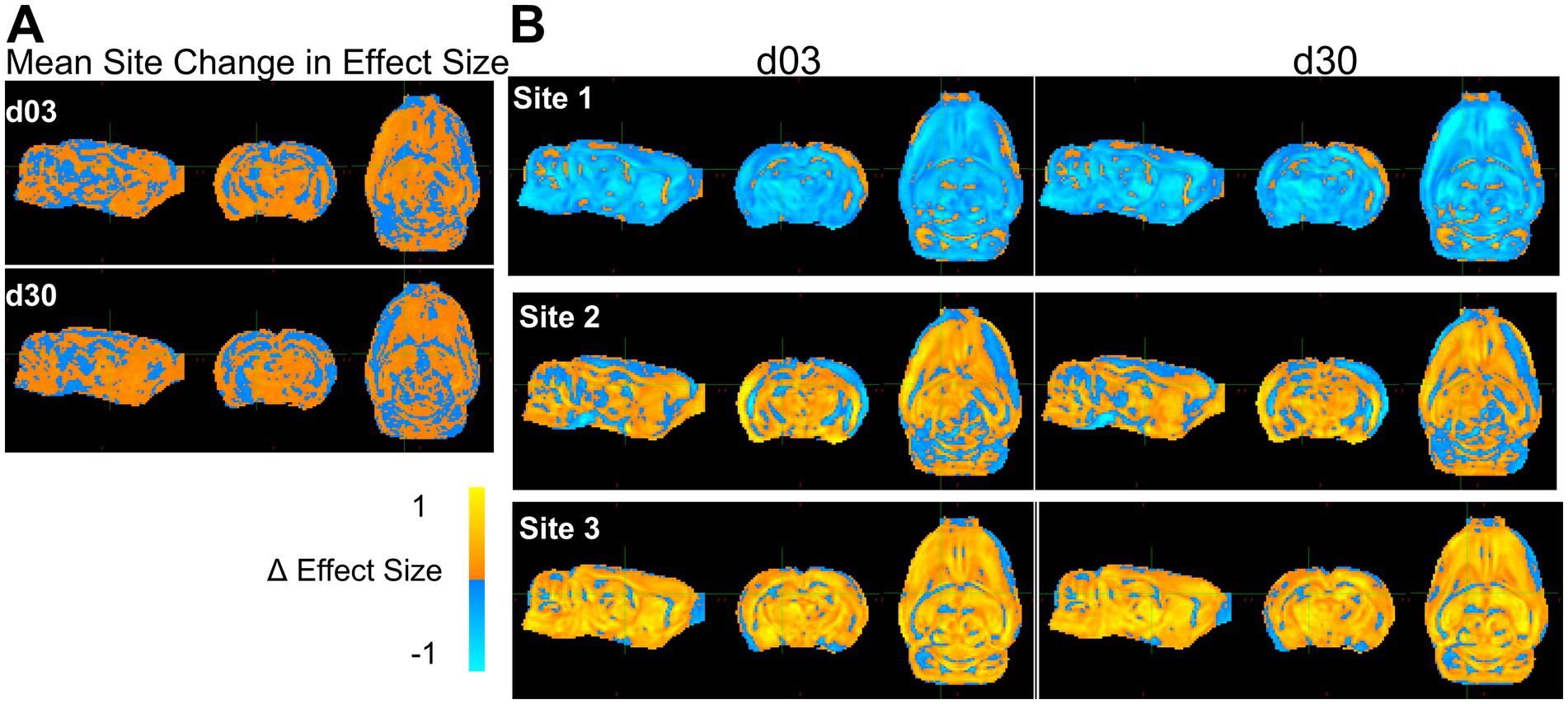 Brain scans showing mean site change in effect size over time, labeled A and B. A displays differences on day 3 (d03) and day 30 (d30) with color variations indicating effect size. B shows comparisons across different sites (Site 1, Site 2, Site 3) for the same days. Blue and orange colors represent variations in effect size, with a scale ranging from negative one to one.
