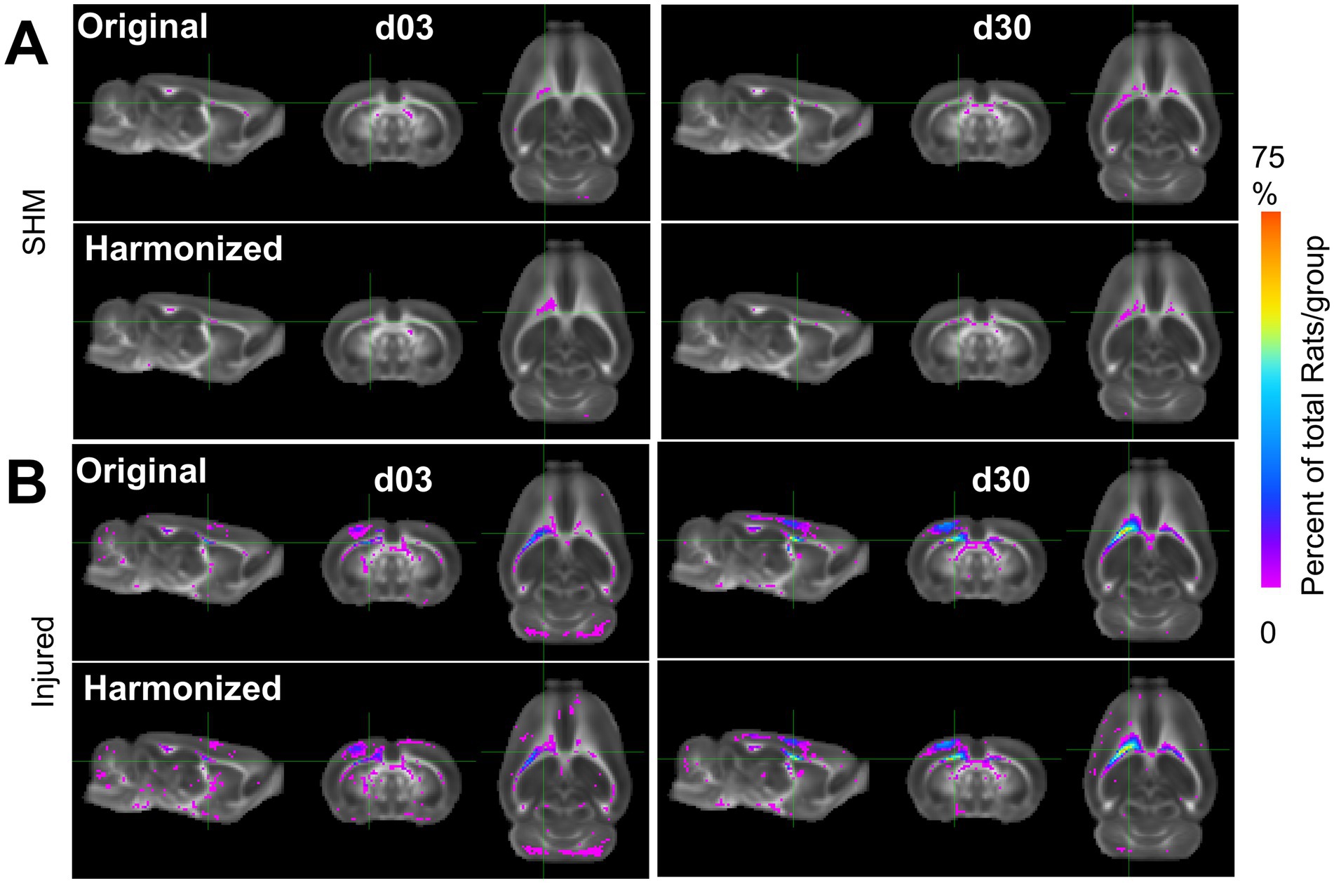MRI images showing brain scans of rats. Panel A and B compare sham (SHM) and injured groups, respectively. Each group includes original and harmonized images at day three (d03) and day thirty (d30). A heatmap on the right indicates the percentage of rats per group with a color gradient from blue (0%) to red (75%). Various cross-sections highlight regions with differences in brain activity or structure.