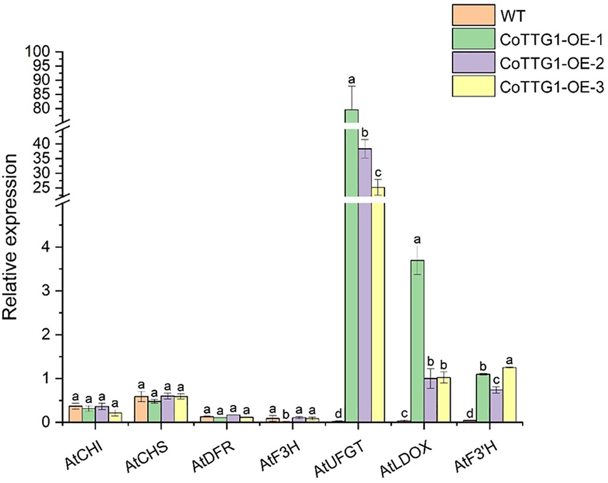 Bar chart comparing relative gene expression levels for different samples: WT (orange), CoTTG1-OE-1 (green), CoTTG1-OE-2 (purple), and CoTTG1-OE-3 (yellow). Genes include AtCHI, AtCHS, AtDFR, AtF3H, AtUFGT, AtLDOX, and AtF3'H. AtUFGT and AtLDOX show significant variations with CoTTG1-OE-1 exhibiting the highest expression. Error bars indicate variability.