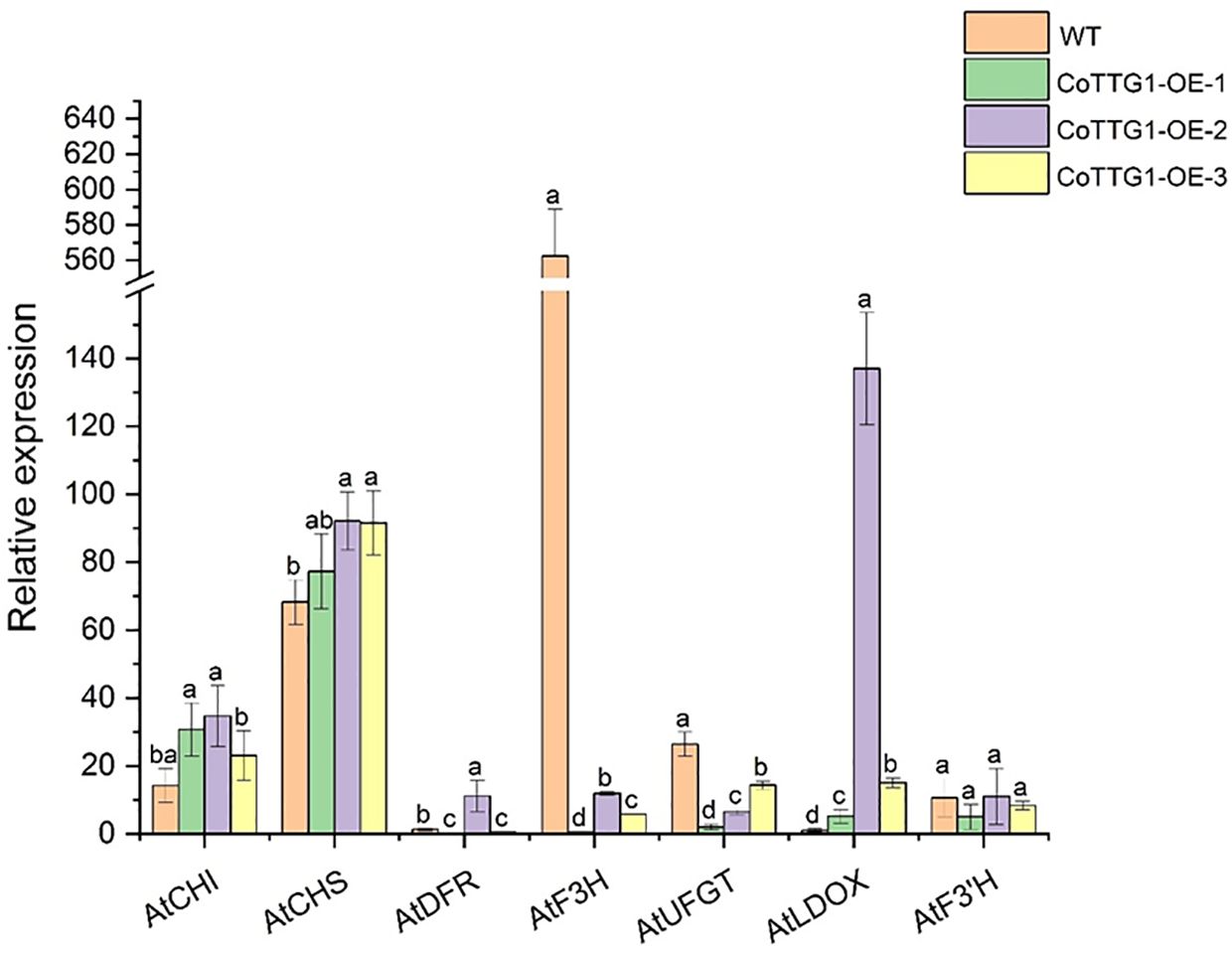 Bar graph showing relative expression levels of seven genes (AtCHI, AtCHS, AtDFR, AtF3H, AtUFGT, AtLDOX, AtF3'H) across four conditions: WT (orange), CoTTG1-OE-1 (green), CoTTG1-OE-2 (purple), CoTTG1-OE-3 (yellow). Notable variation in expression levels, particularly high for AtF3H in CoTTG1-OE-2. Error bars indicate standard deviation, with statistical significance labeled (a, b, c, d).