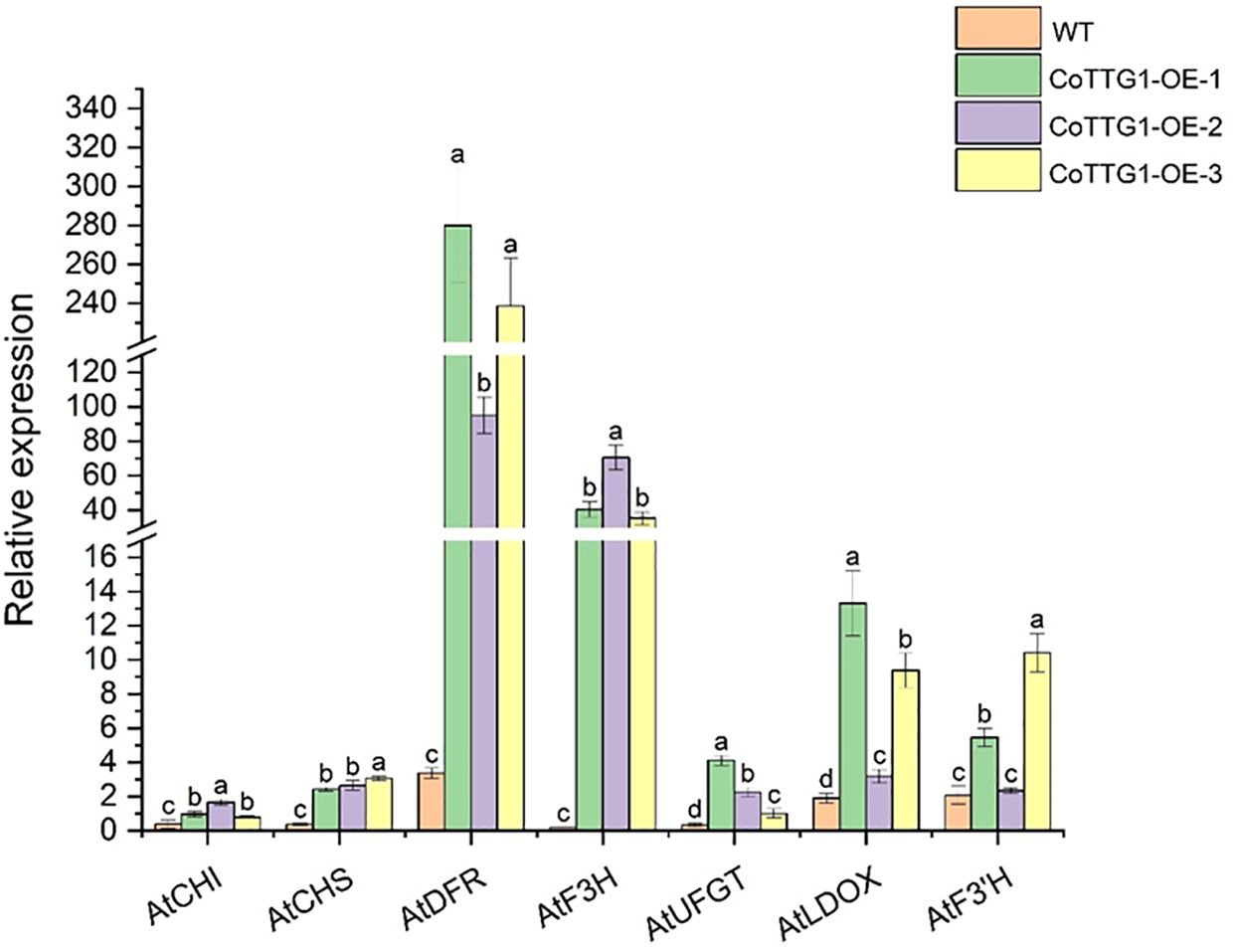 Bar chart showing relative expression levels of seven genes: AtCHI, AtCHS, AtDFR, AtF3H, AtUFGT, AtLDOX, and AtF3'H. Four groups are compared: WT (orange), CoTTG1-OE-1 (green), CoTTG1-OE-2 (purple), and CoTTG1-OE-3 (yellow). Expression levels vary significantly across genes and groups, with CoTTG1-OE-1 showing high expression in AtDFR and AtF3H. Error bars indicate standard deviation, with statistical significance labeled by different letters on top of each bar.