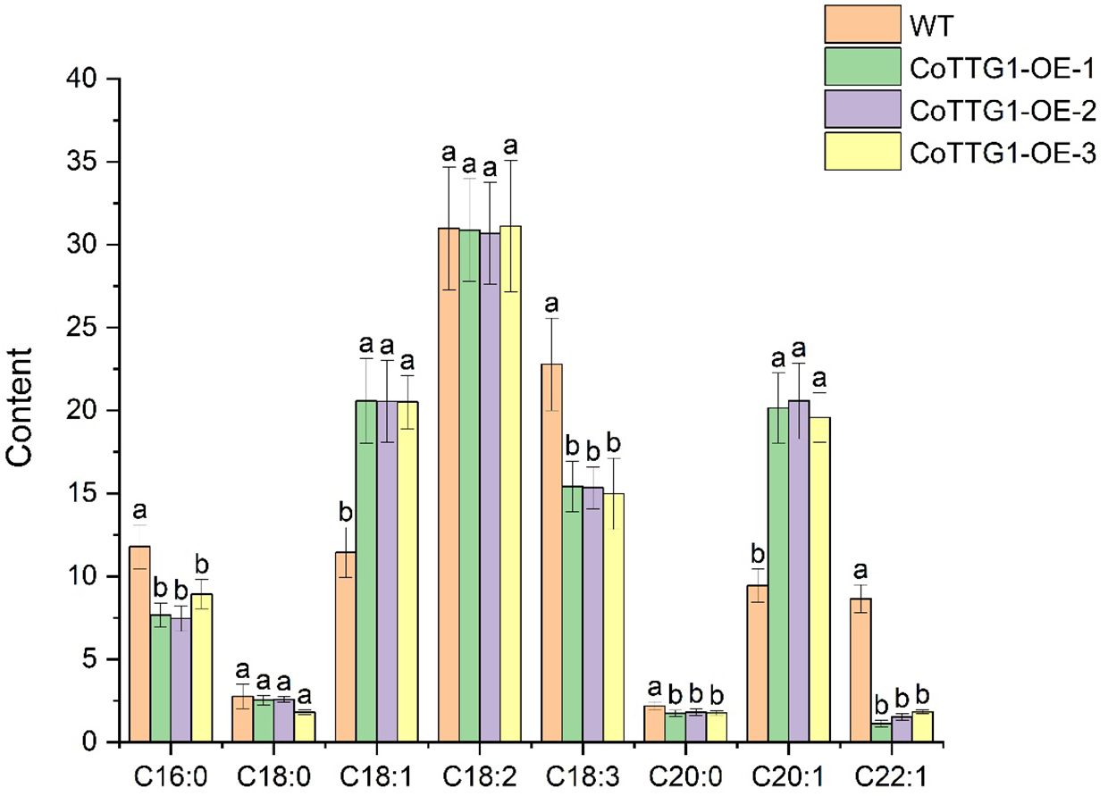 Bar chart comparing the content levels of fatty acids C16:0, C18:0, C18:1, C18:2, C18:3, C20:0, C20:1, and C22:1 among four groups: WT, CoTTG1-OE-1, CoTTG1-OE-2, and CoTTG1-OE-3. WT shows higher content in C16:0 and C18:2, whereas CoTTG1-OE groups show higher levels in C18:1 and C18:3. Statistical significance is indicated by letters above bars.
