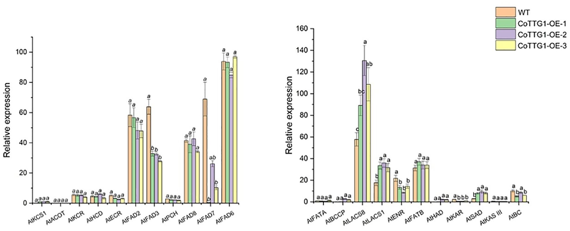 Bar charts showing relative expression levels of different genes in WT and CoTTG1-OE lines 1-3, depicted in green, orange, purple, and yellow. Each gene displays variations in expression, with some bars reaching up to 140 on the right chart and 100 on the left. Statistical significance is indicated by different letters above bars.